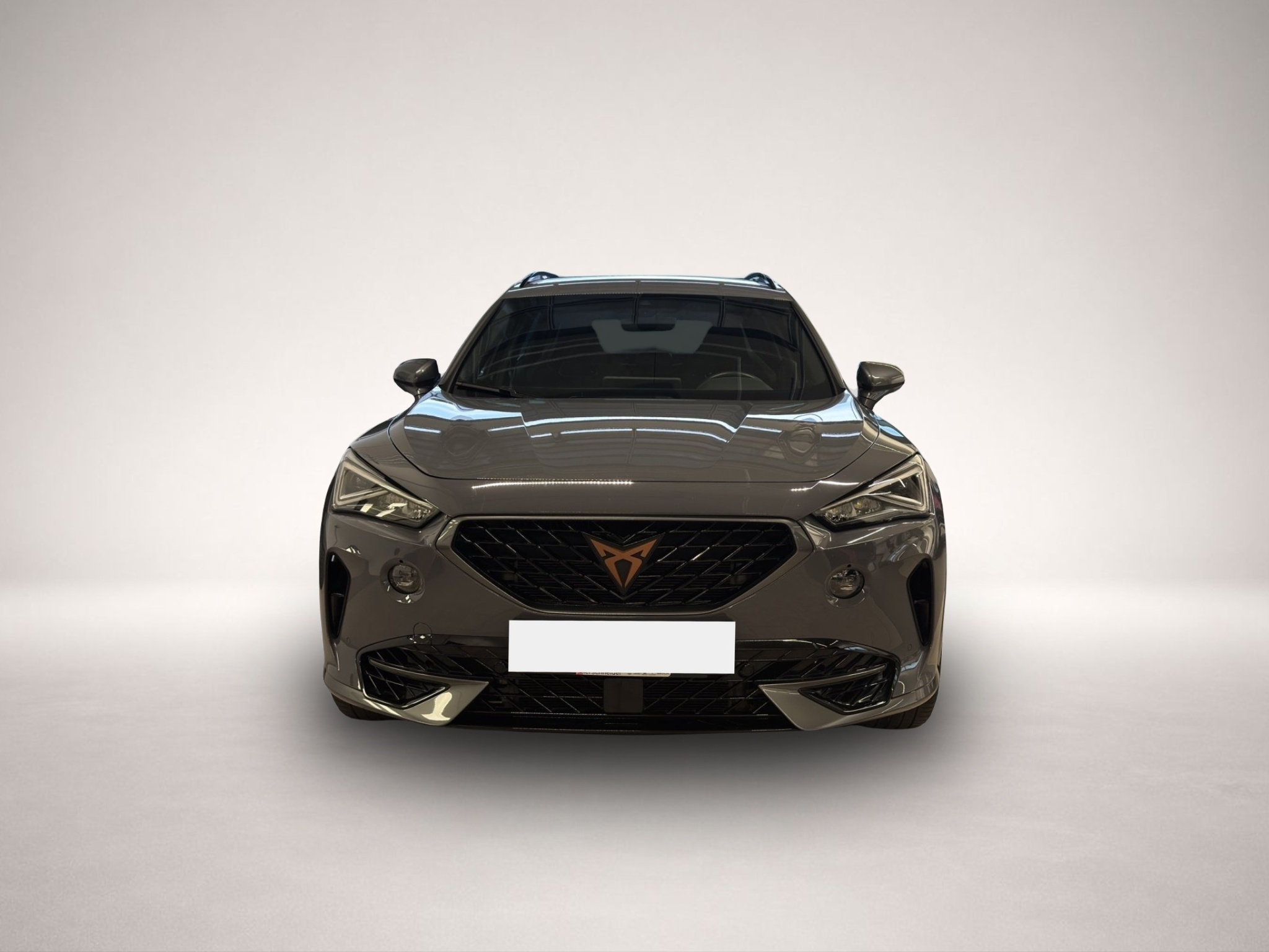 Bild 2 Cupra Formentor 2.0 TSI DSG 4Drive VZ LED NAVI AHK ACC
