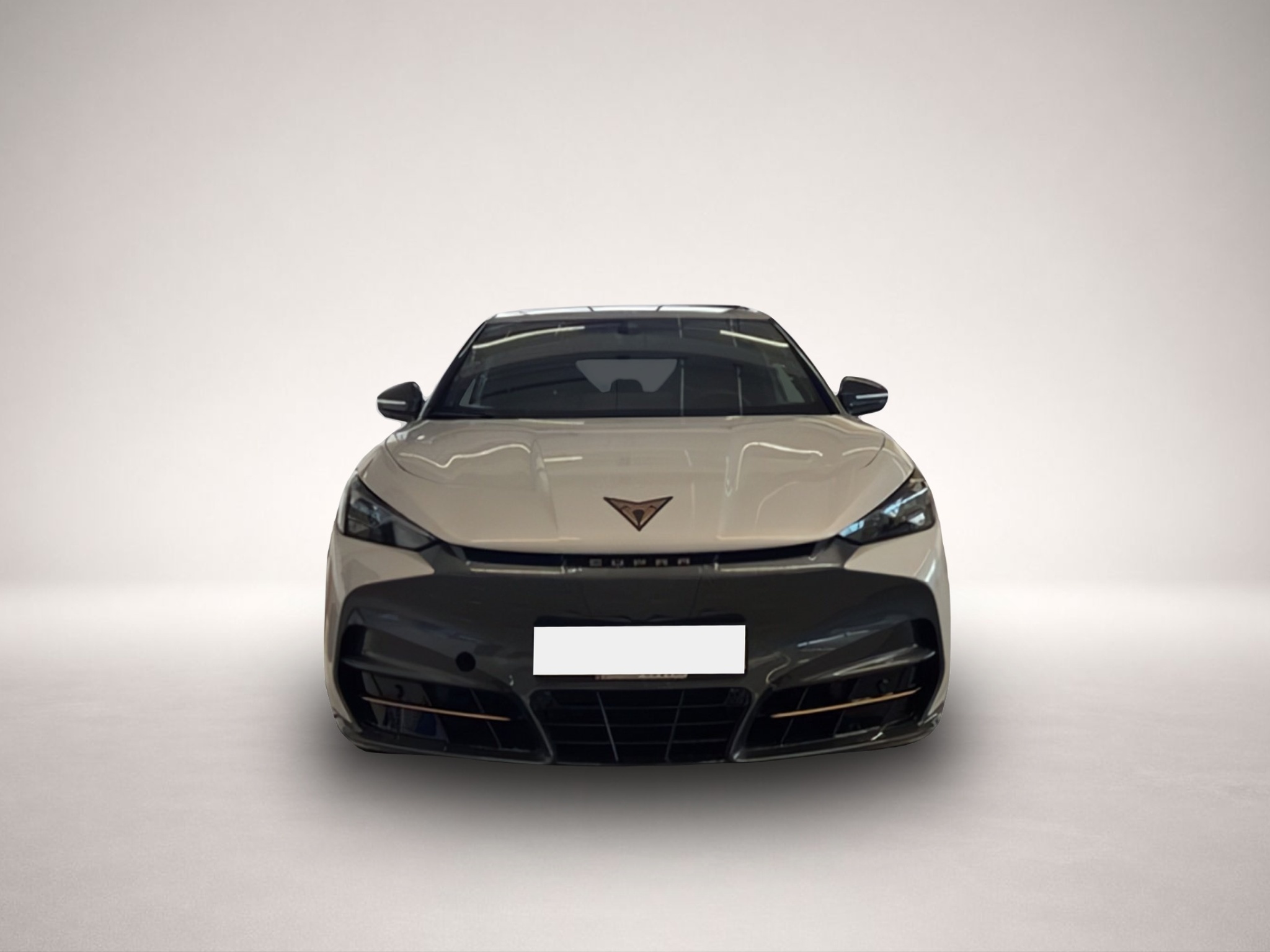 Fotografie Cupra Tavascan Endurance