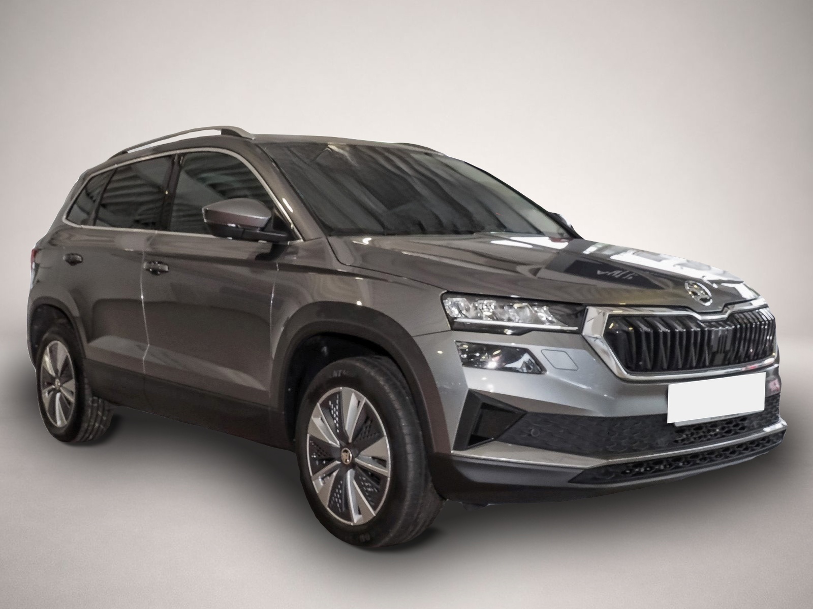 Bild 2 Skoda Karoq 2.0 TDI DSG Ambition-Navi Amundsen*Kamera*