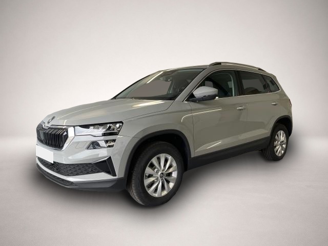 Bild Karoq Skoda