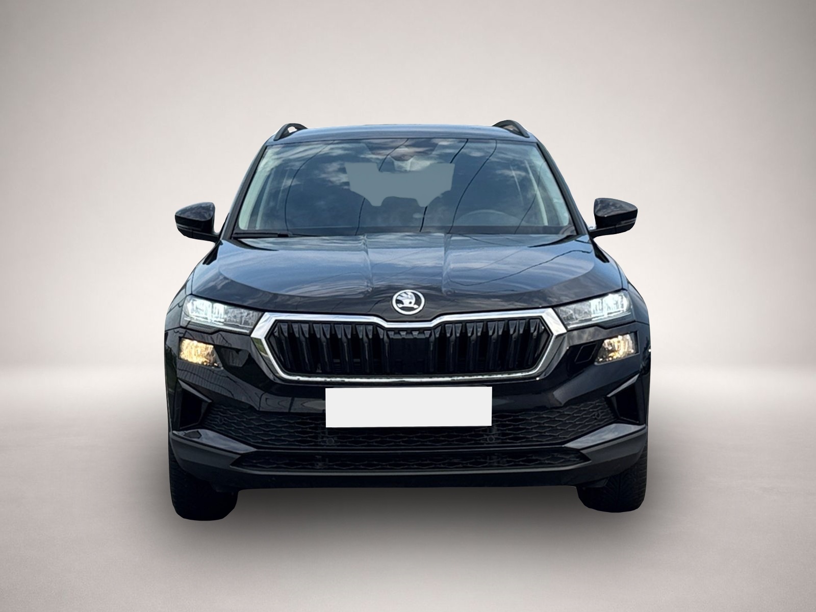 Bild 2 Skoda Karoq Selection TSI DSG|NAVI|KAMERA|VORB.AHK|SHZ