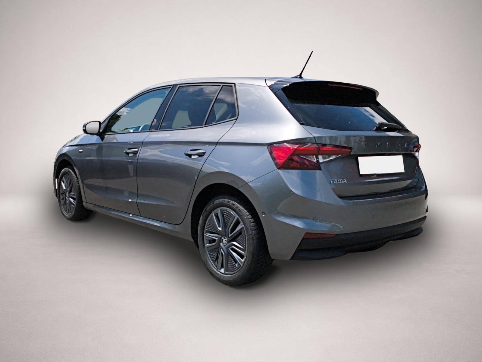 Fotografie 5 des Skoda Fabia 1.0 TSI DSG Tour NAVI RFK ACC PDC SMART LI