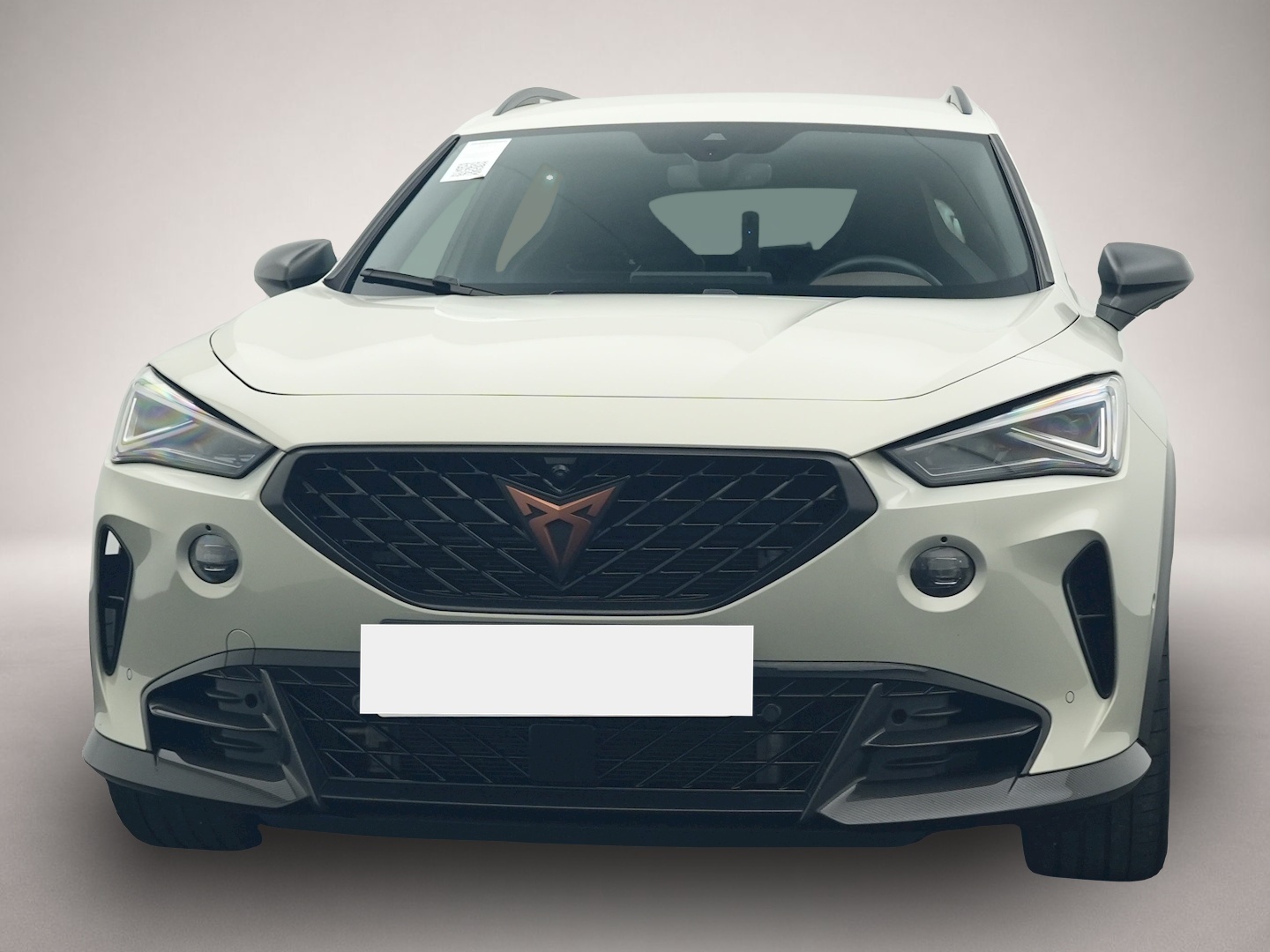 Fotografie 8 des Cupra Formentor 2.5 TSI DSG 4Dr. VZ5 Edition Taiga ABT