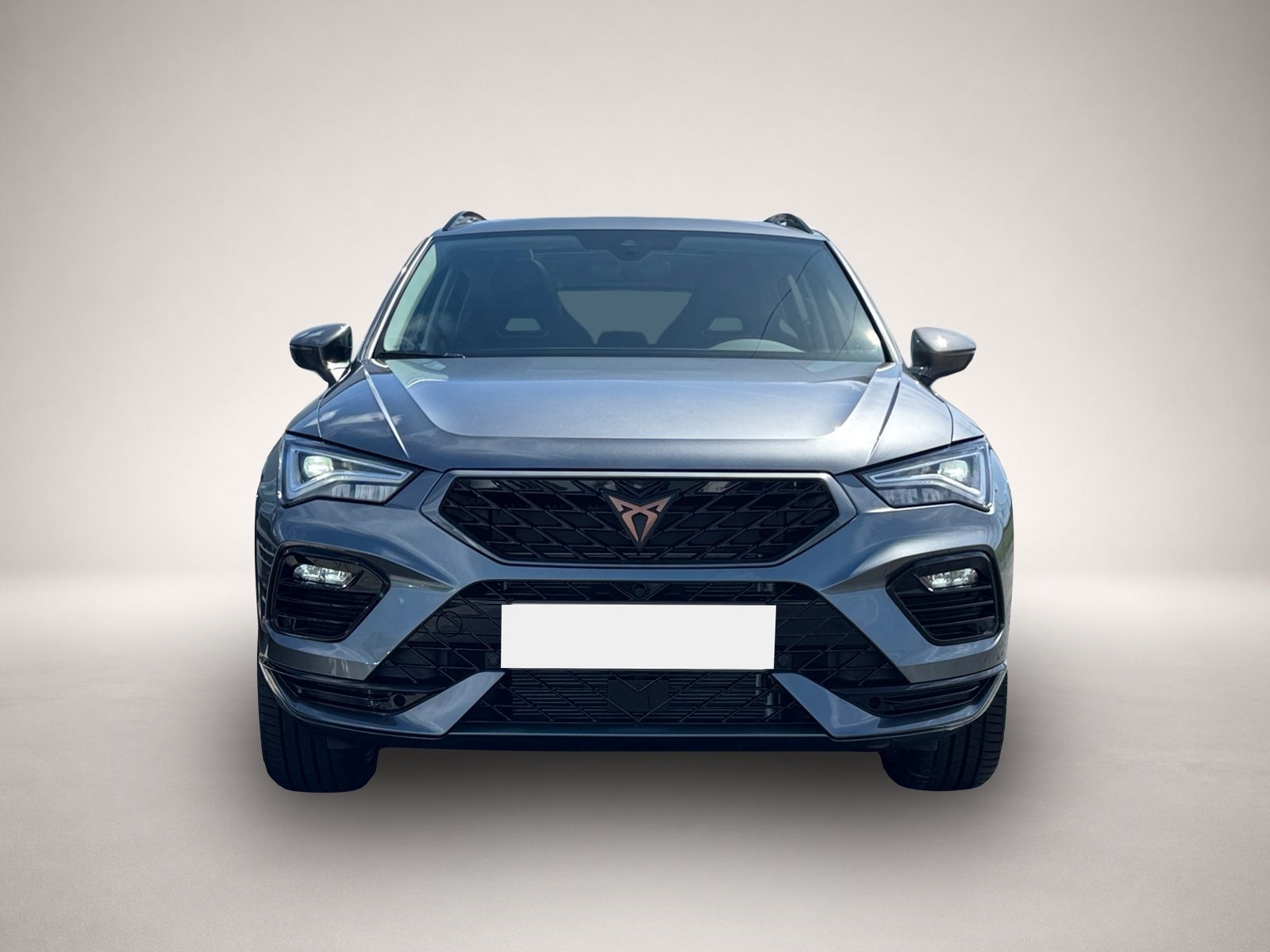 Bild 2 Cupra Ateca 4Drive TSI DSG|PANO|AHK|19