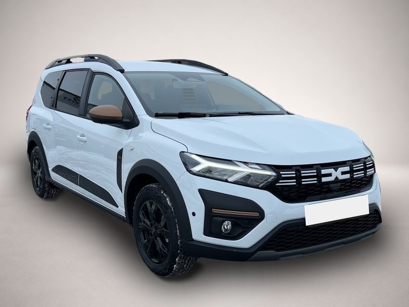 Bild Jogger Dacia