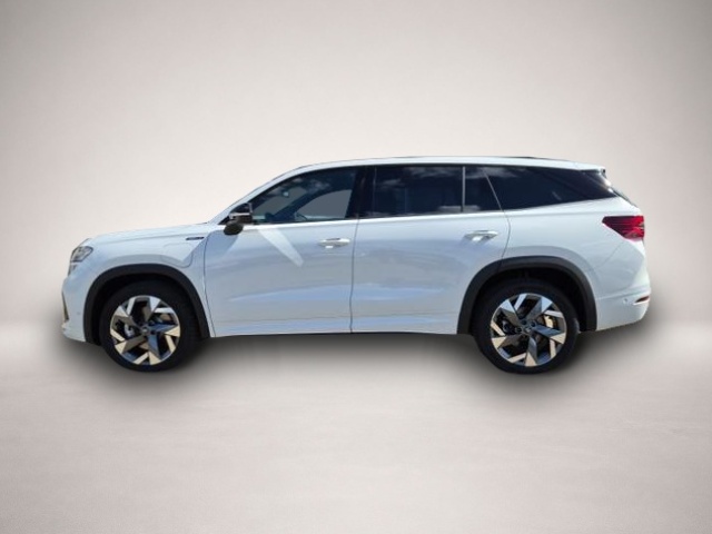 Bild Kodiaq Skoda