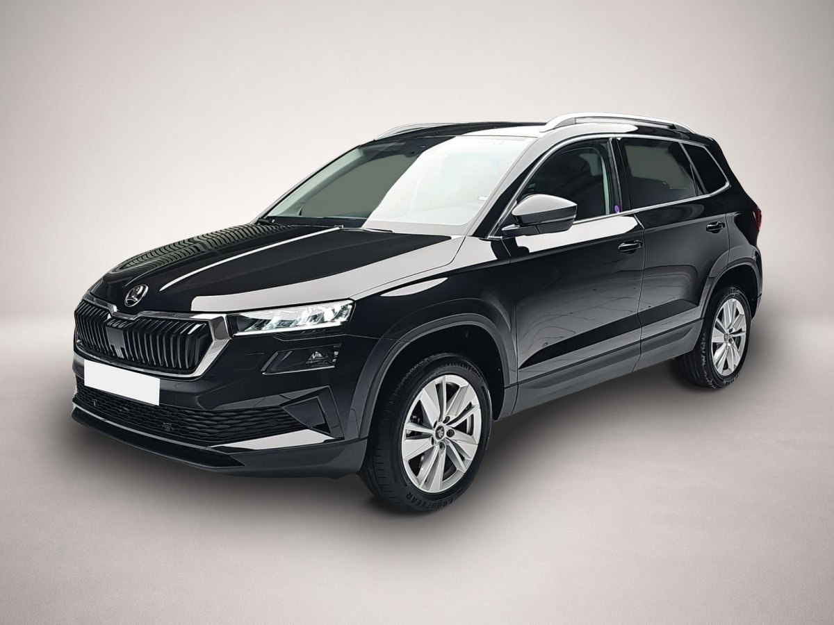 Bild 1 Skoda KAROQ 2.0 TDI DSG DRIVE NAVI LED AHK LM