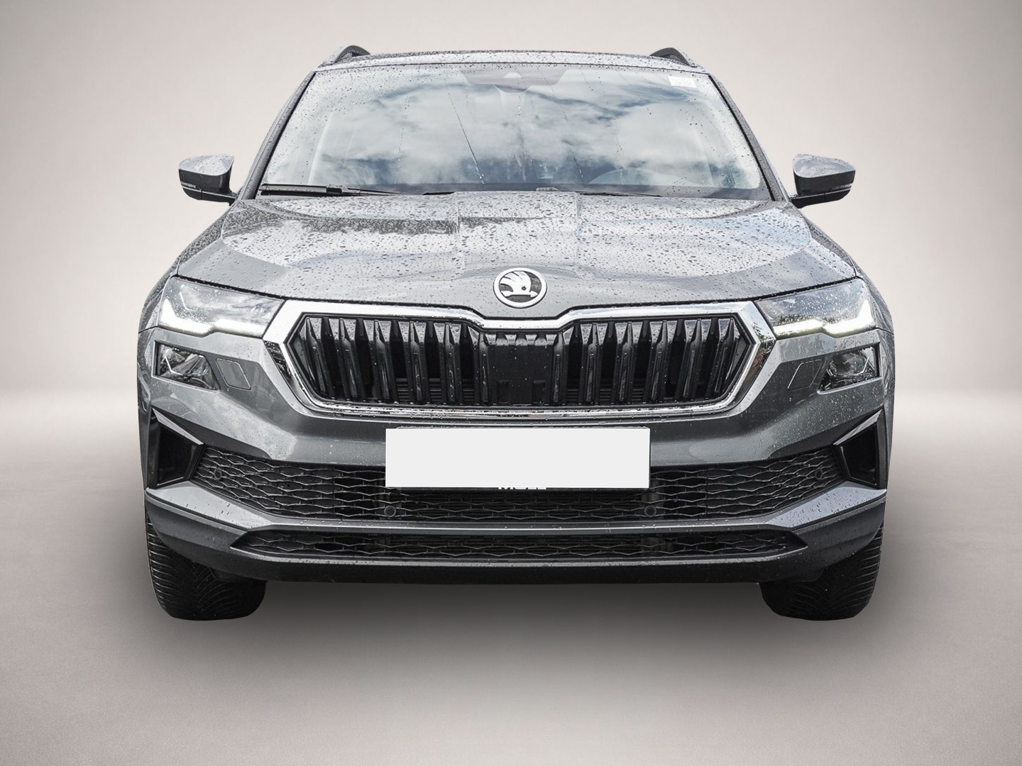 Bild 2 Skoda Karoq 2.0 TDI DSG SelectionTour