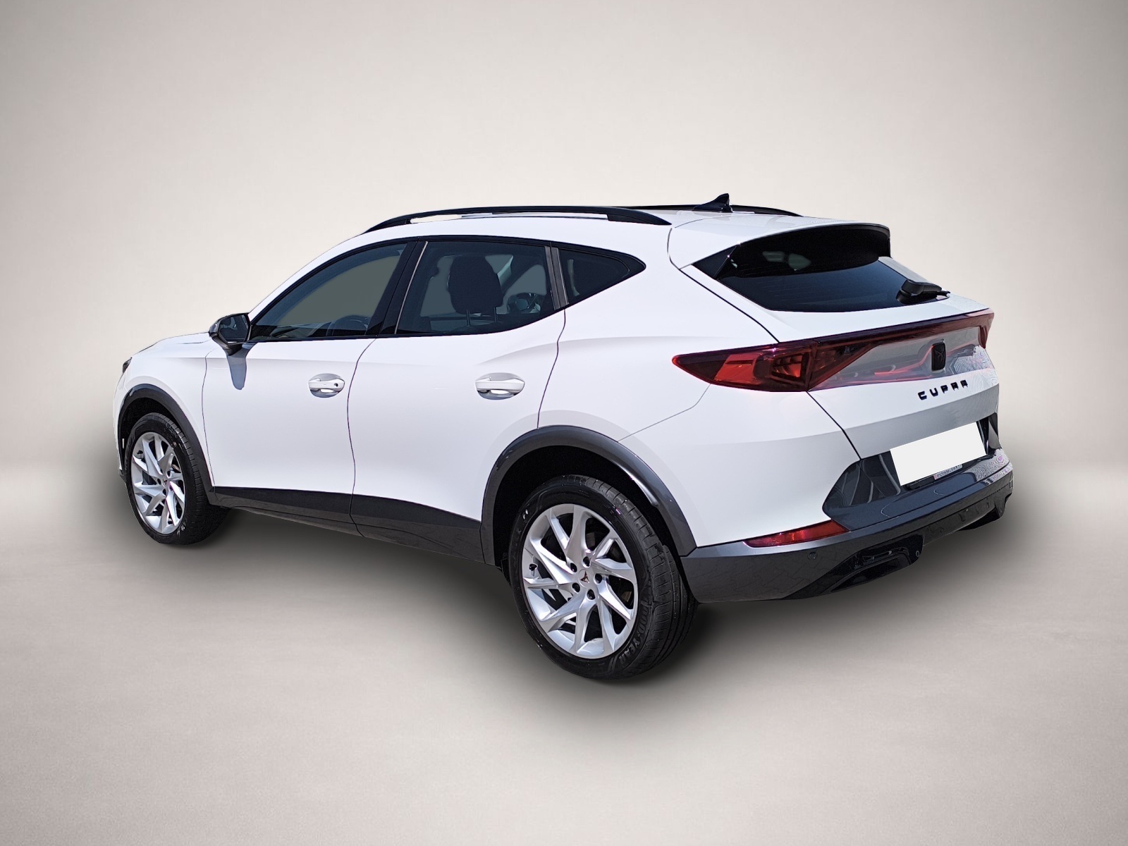 Bild 5 Cupra Formentor 2.0 TSI DSG 4Drive VZ AHK FULL-LINK 18