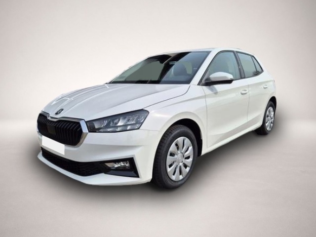 Bild 2 Skoda Fabia 1.0 TSI 95PS Selection 5-türig Rückf.Kam.