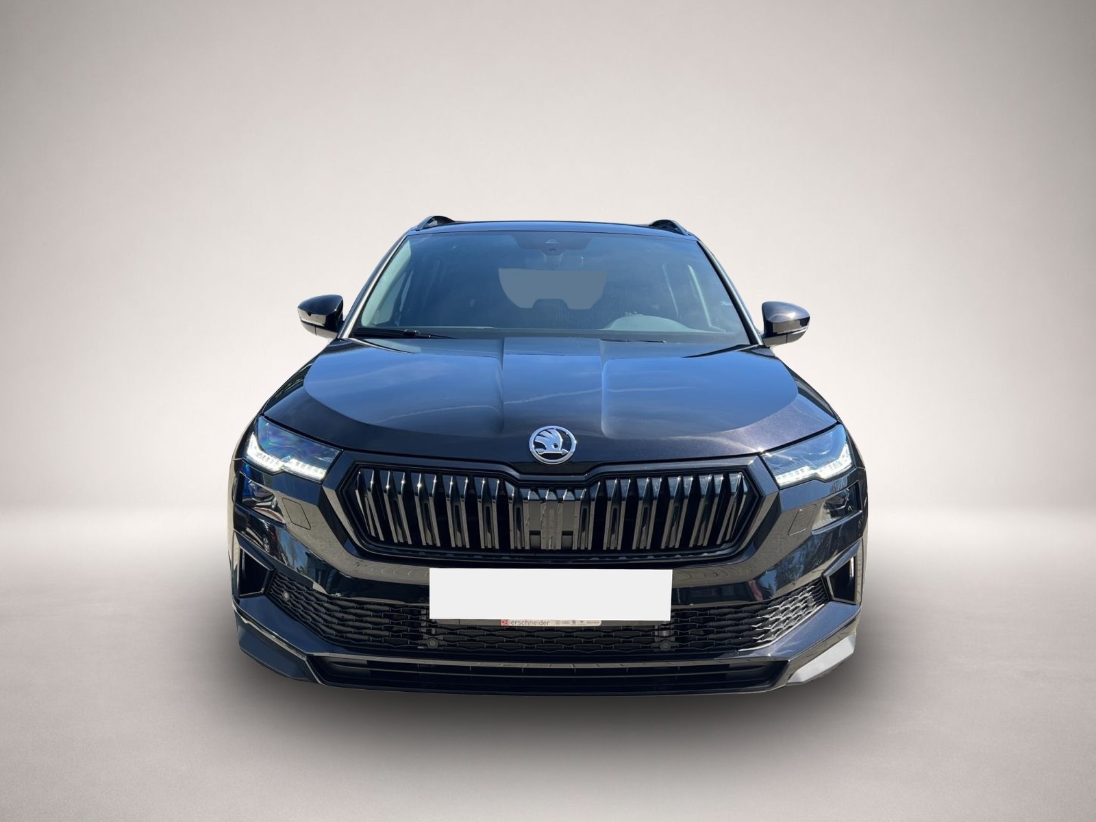 Bild 8 Skoda Karoq 1.5 TSI DSG Sportline AHK PANO NAVI KAMERA