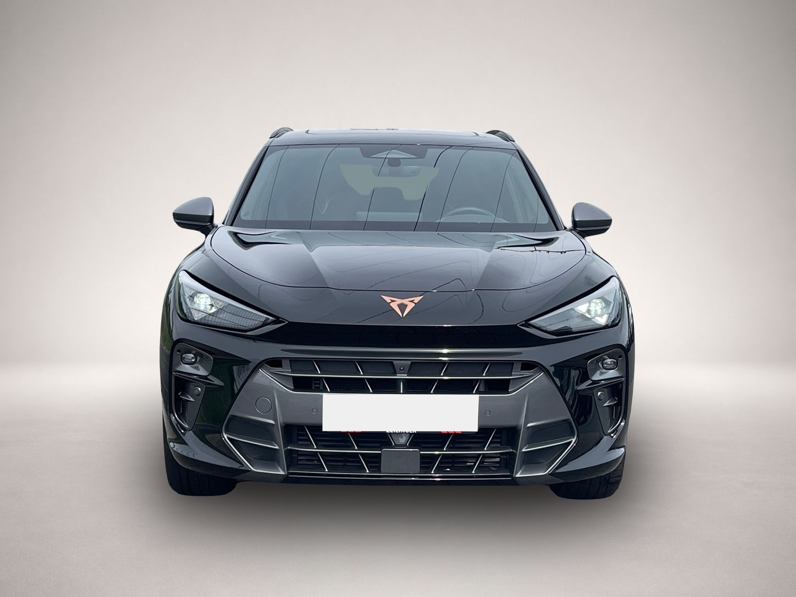 Bild 2 Cupra Terramar VZ 4Drive TSI DSG|AHK|PANO|360°|HEAD-UP