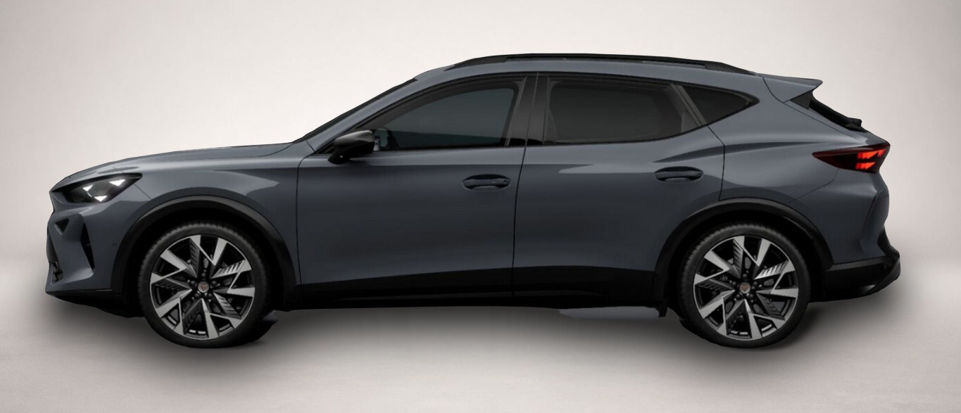 Bild 2 Cupra Formentor eTSI Pano Matrix DCC IntelliD Nav 19