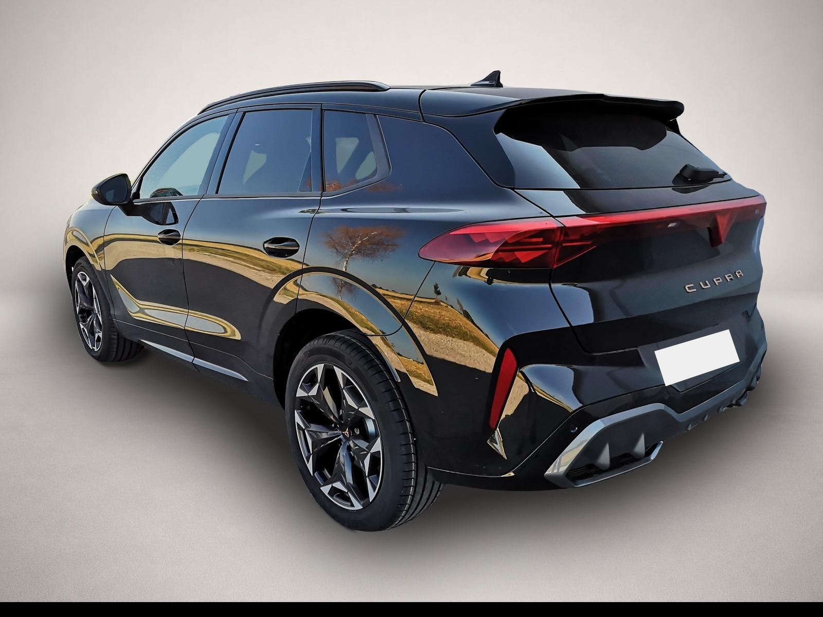 Fotografie 2 des Cupra Terramar 2.0TSI 4Drive ABT AHK ACC el. Hk Pano