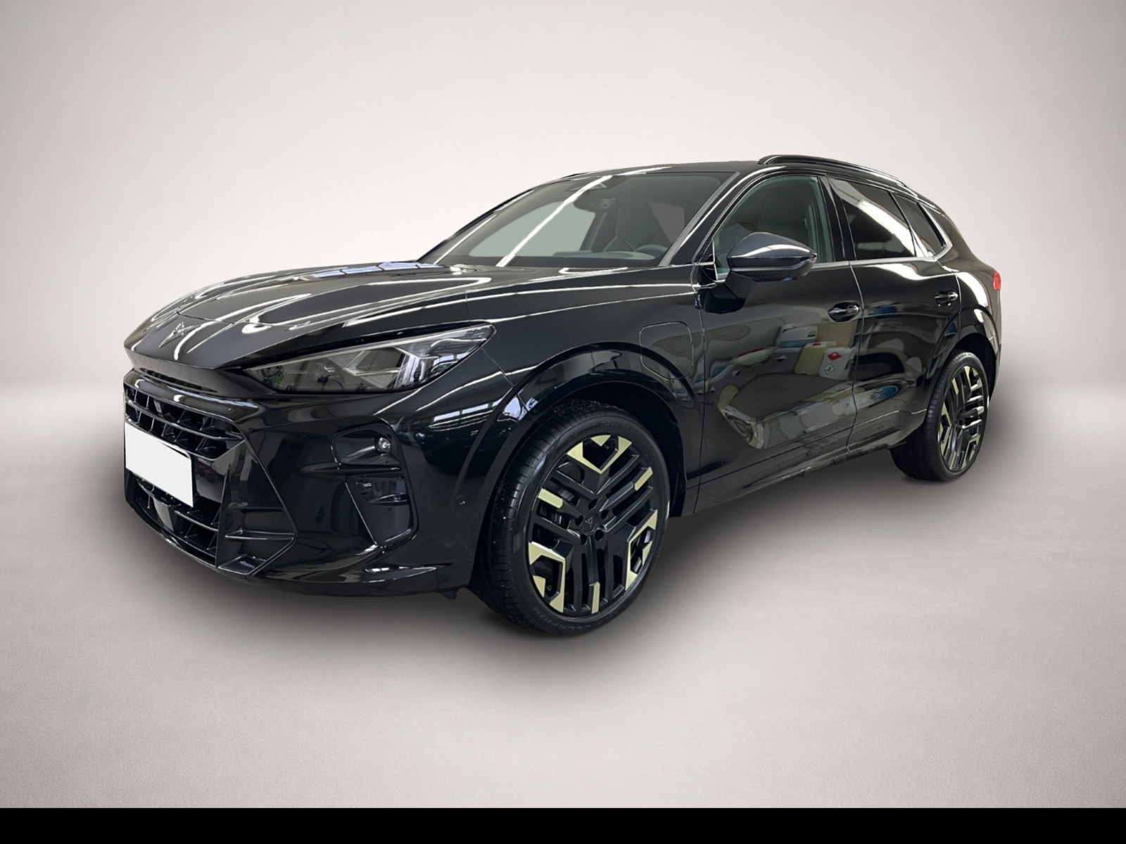 Bild 1 Cupra Terramar 1.5 e-HYBRID VZ Tribe Edition AHK MATRI