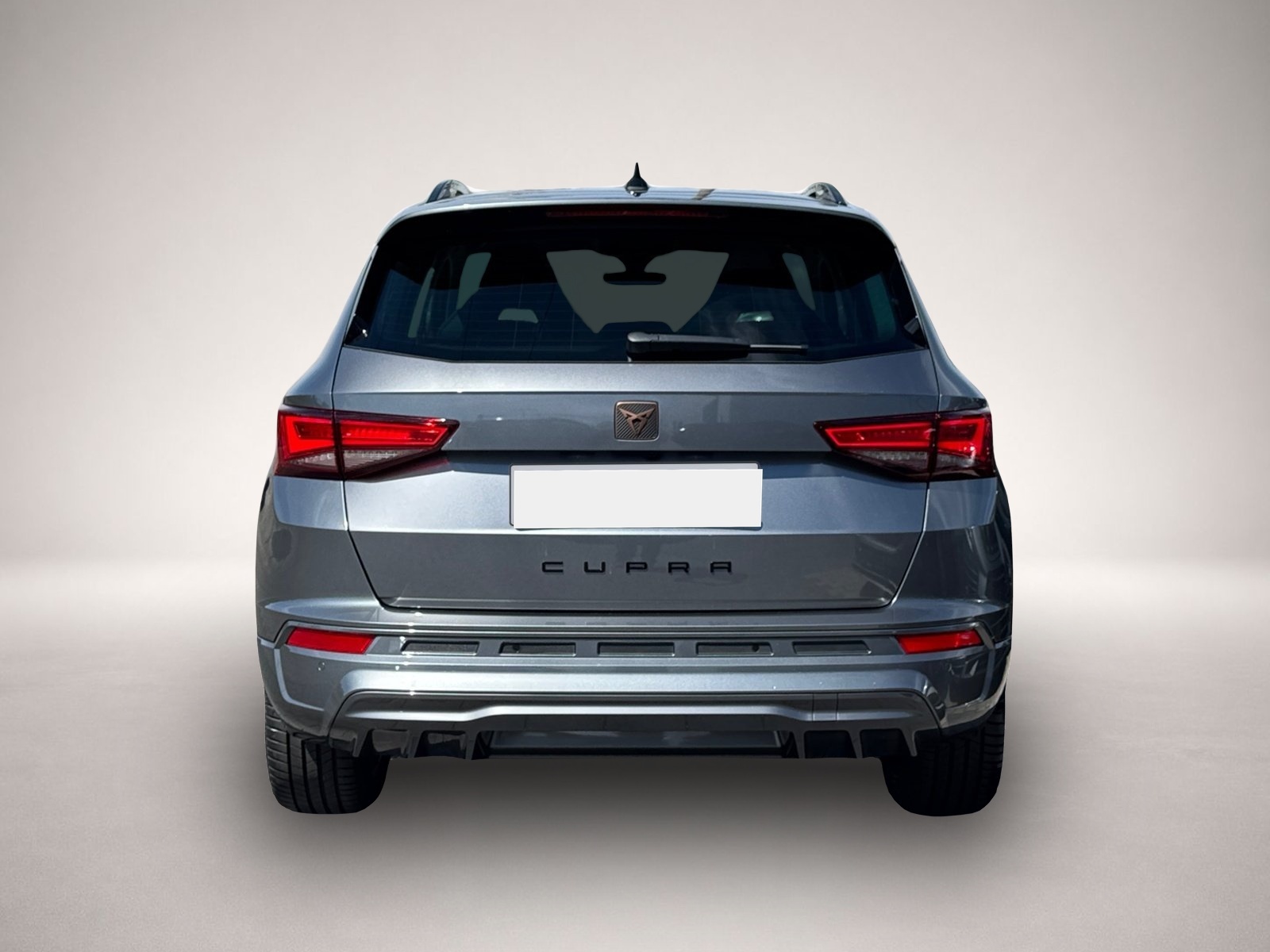 Bild 5 Cupra Ateca 4Drive TSI DSG|PANO|AHK|19