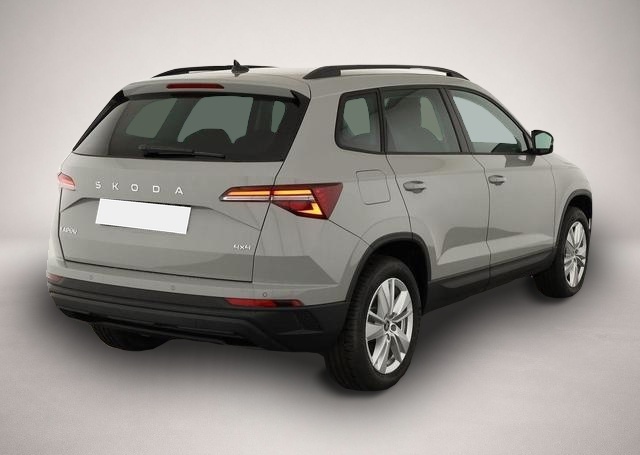Bild Karoq Skoda