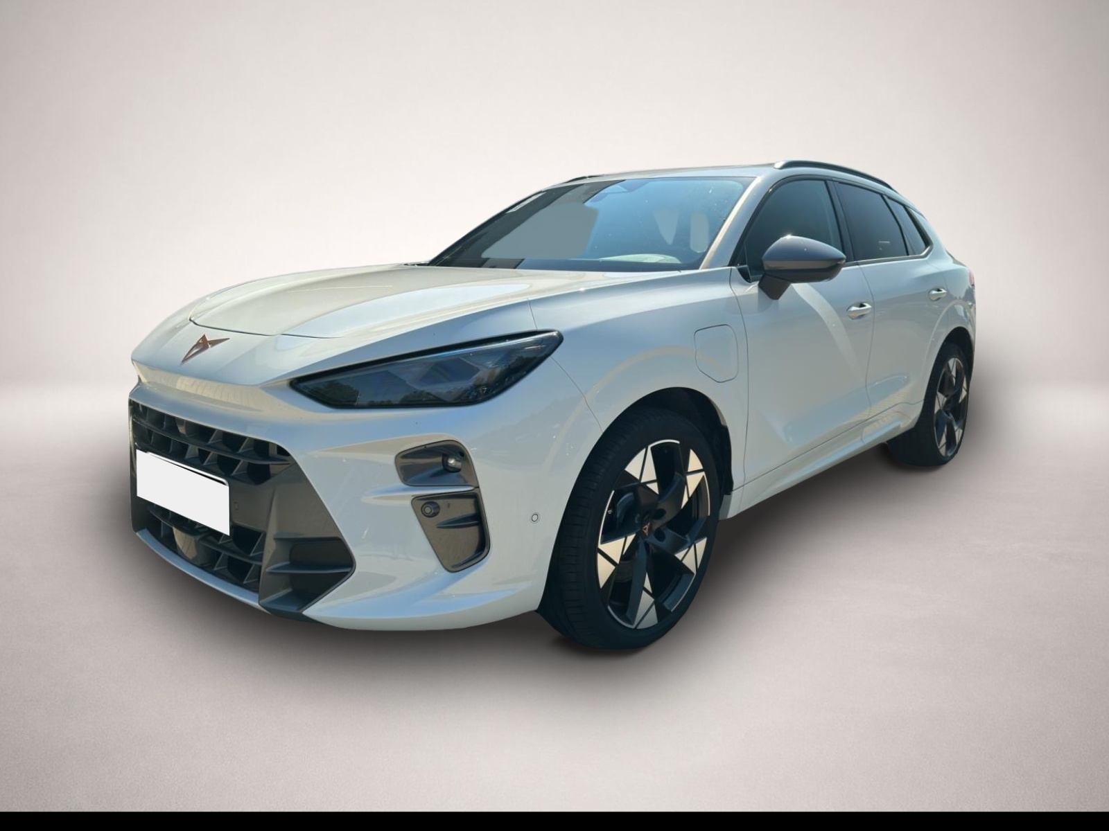 Bild Terramar Cupra