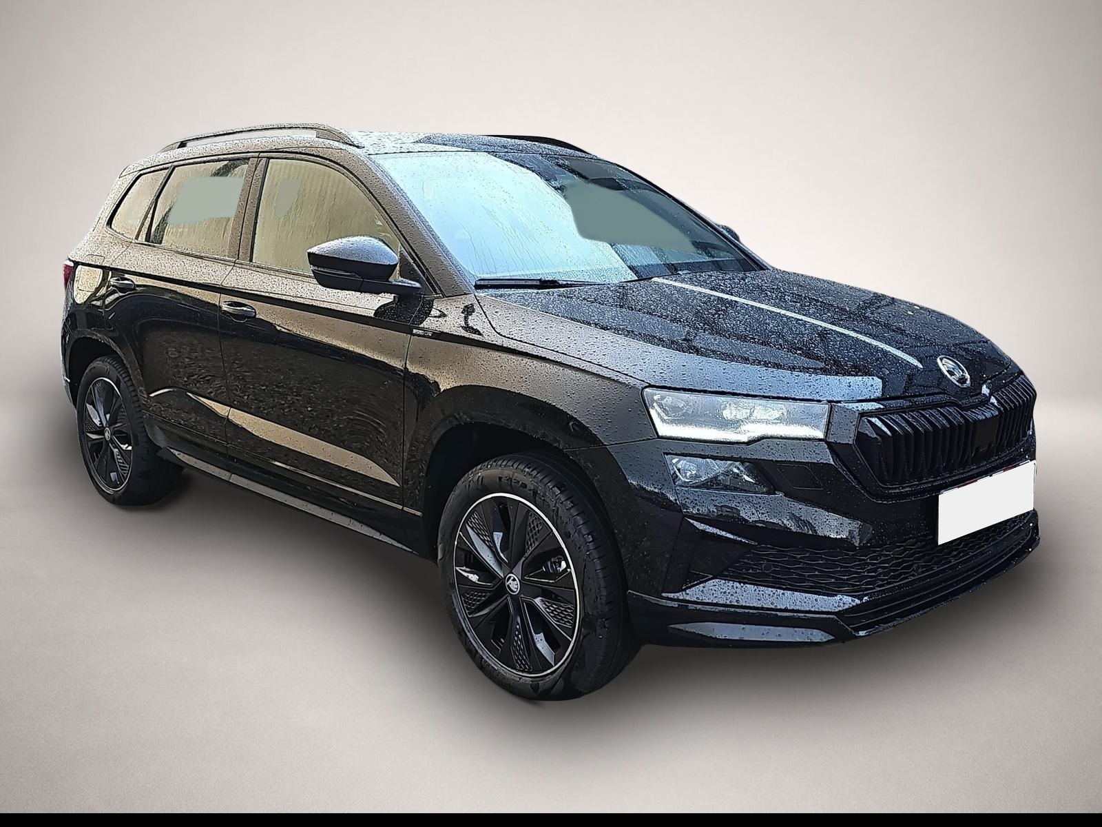 Bild 1 Skoda Karoq 2.0 TSI DSG Sportline 4x4 AHK Travel Ass.
