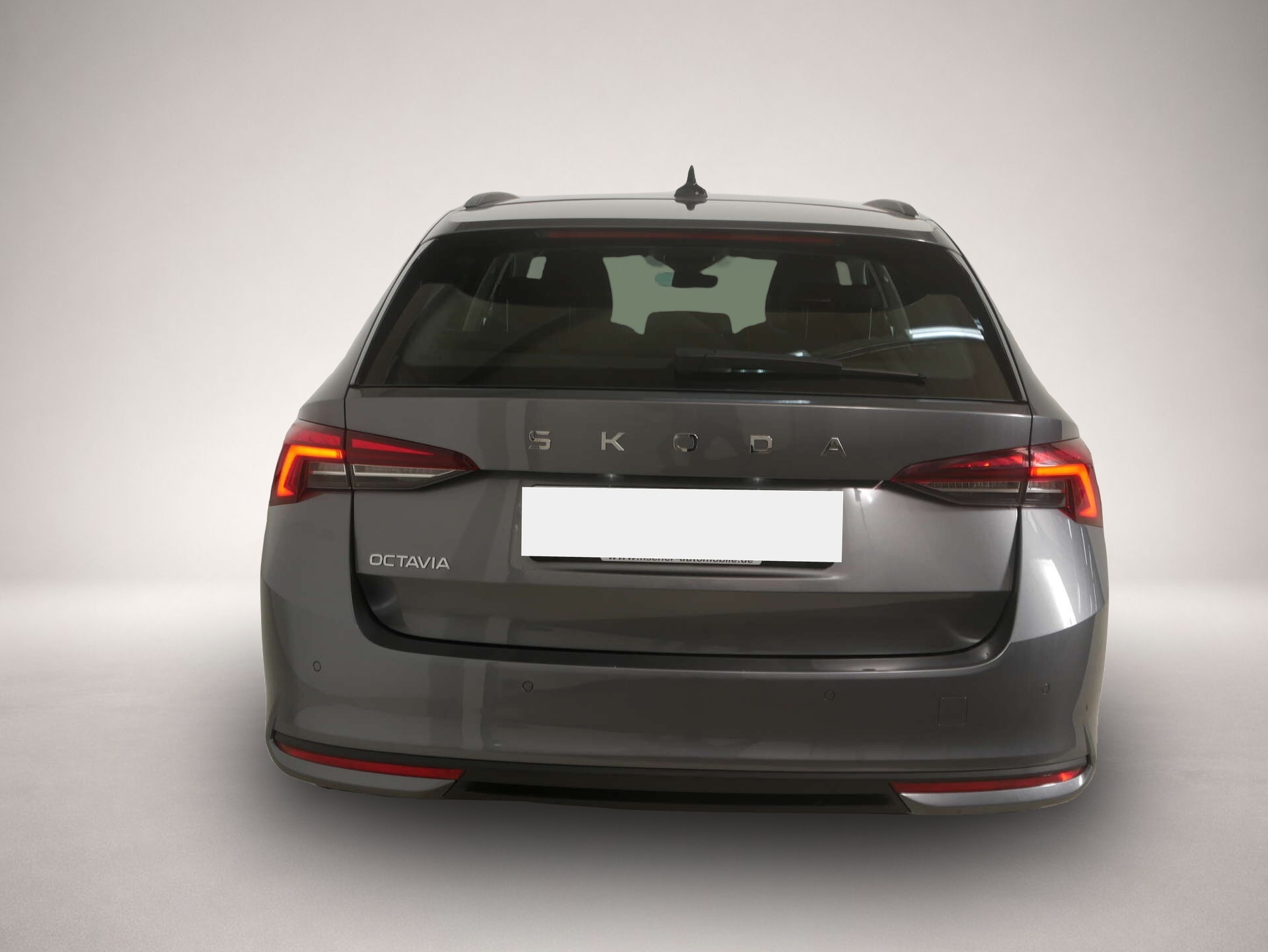 Bild 4 Skoda Octavia Combi 2.0 TDI Selection