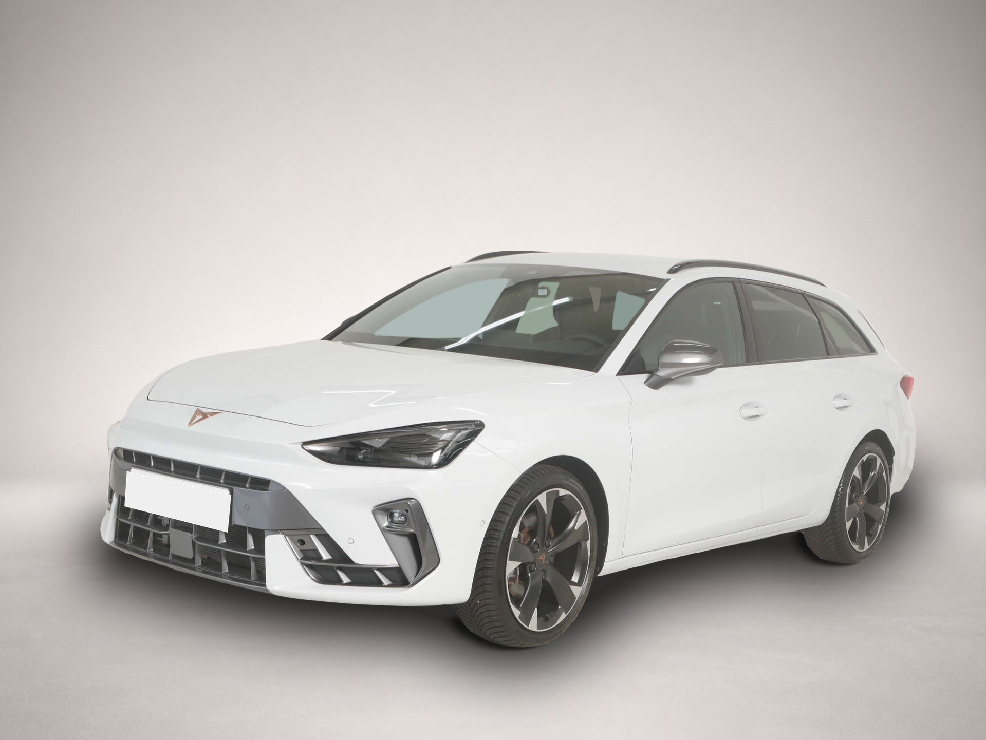 Bild 1 Cupra Leon Sportstourer 2.0 TDI