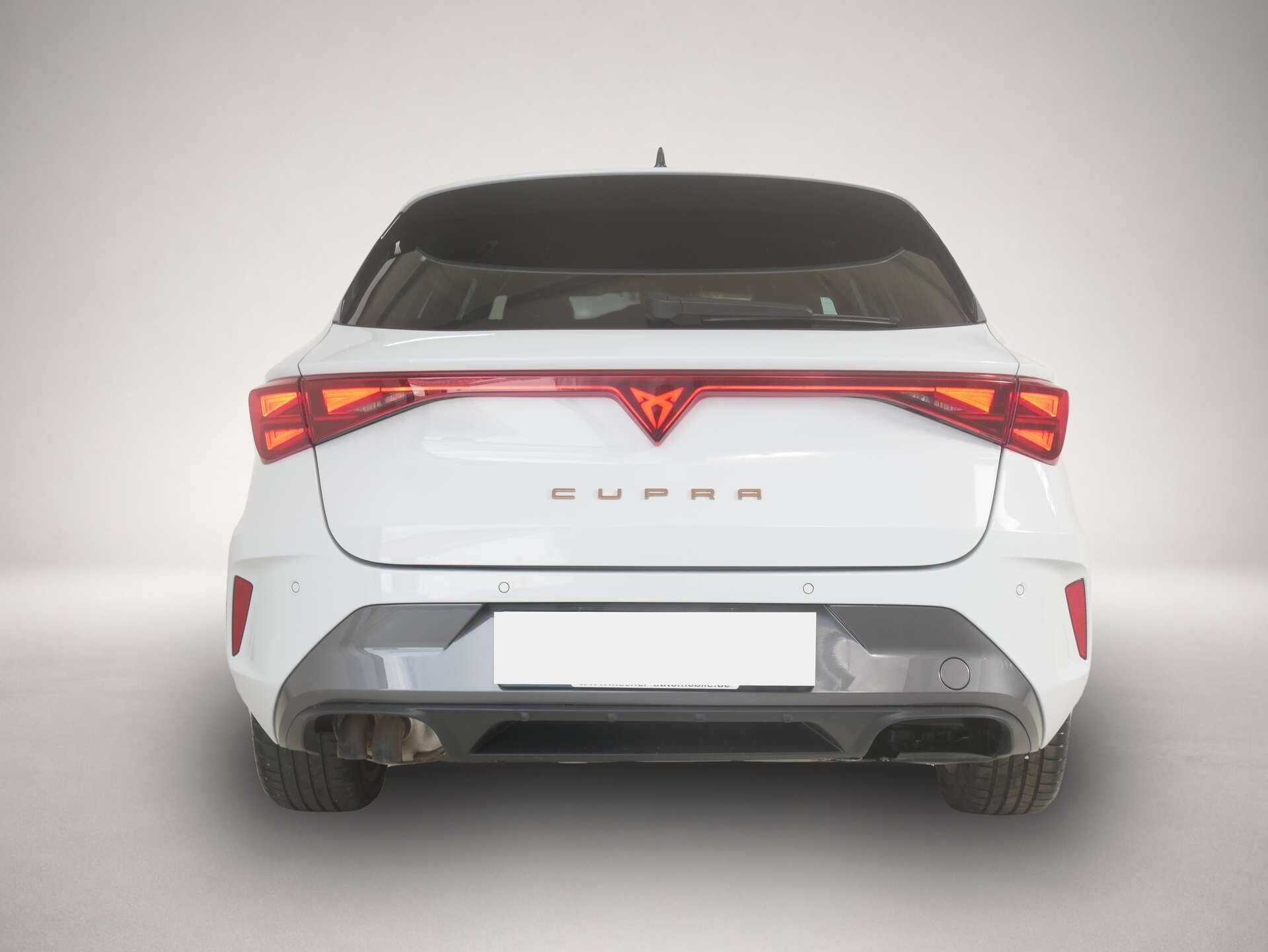 Bild 4 Cupra Leon Sportstourer 2.0 TDI