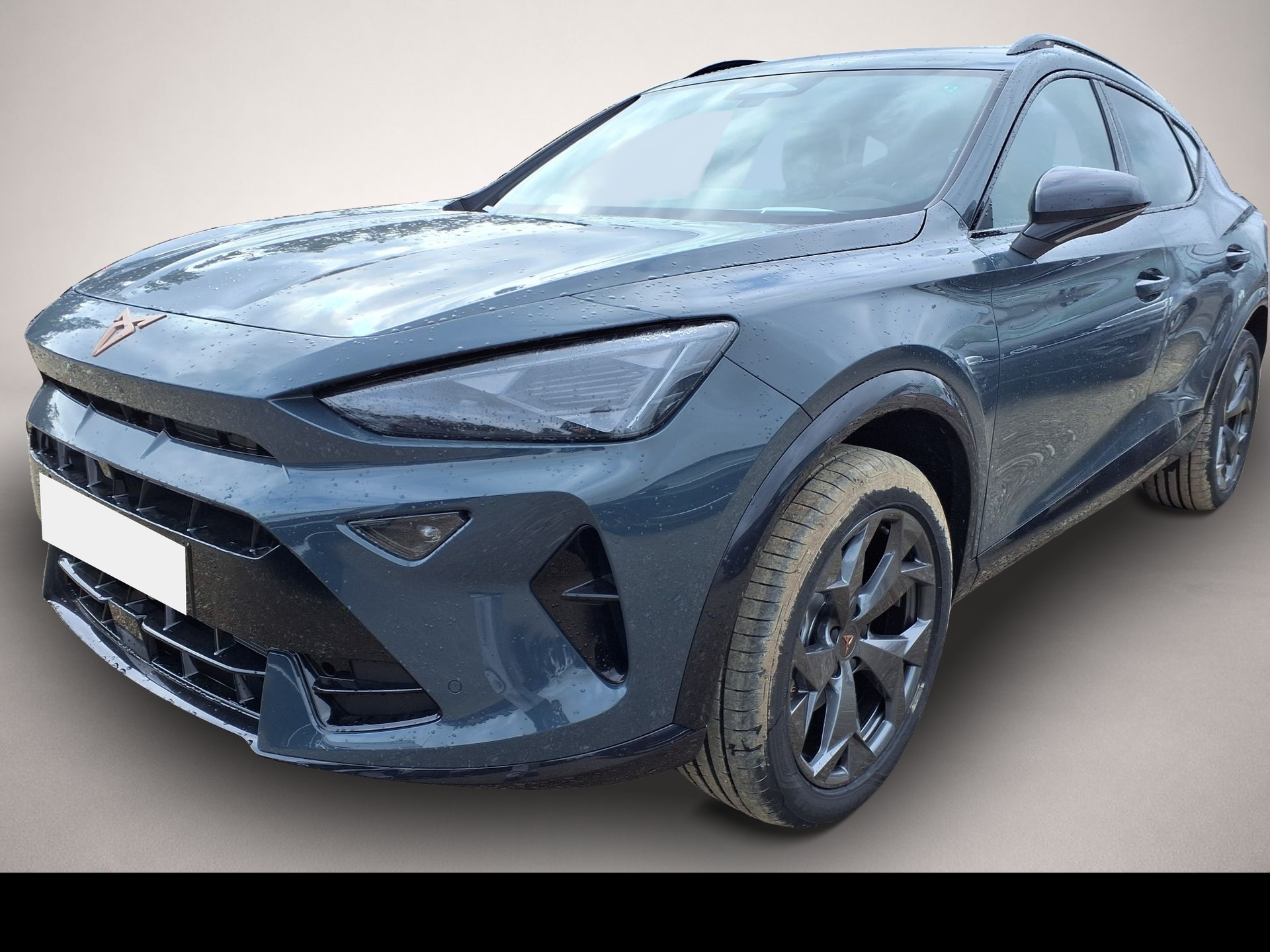 Fotografie 4 des Cupra Formentor 1.5 eTSI 7-Gang-DSG