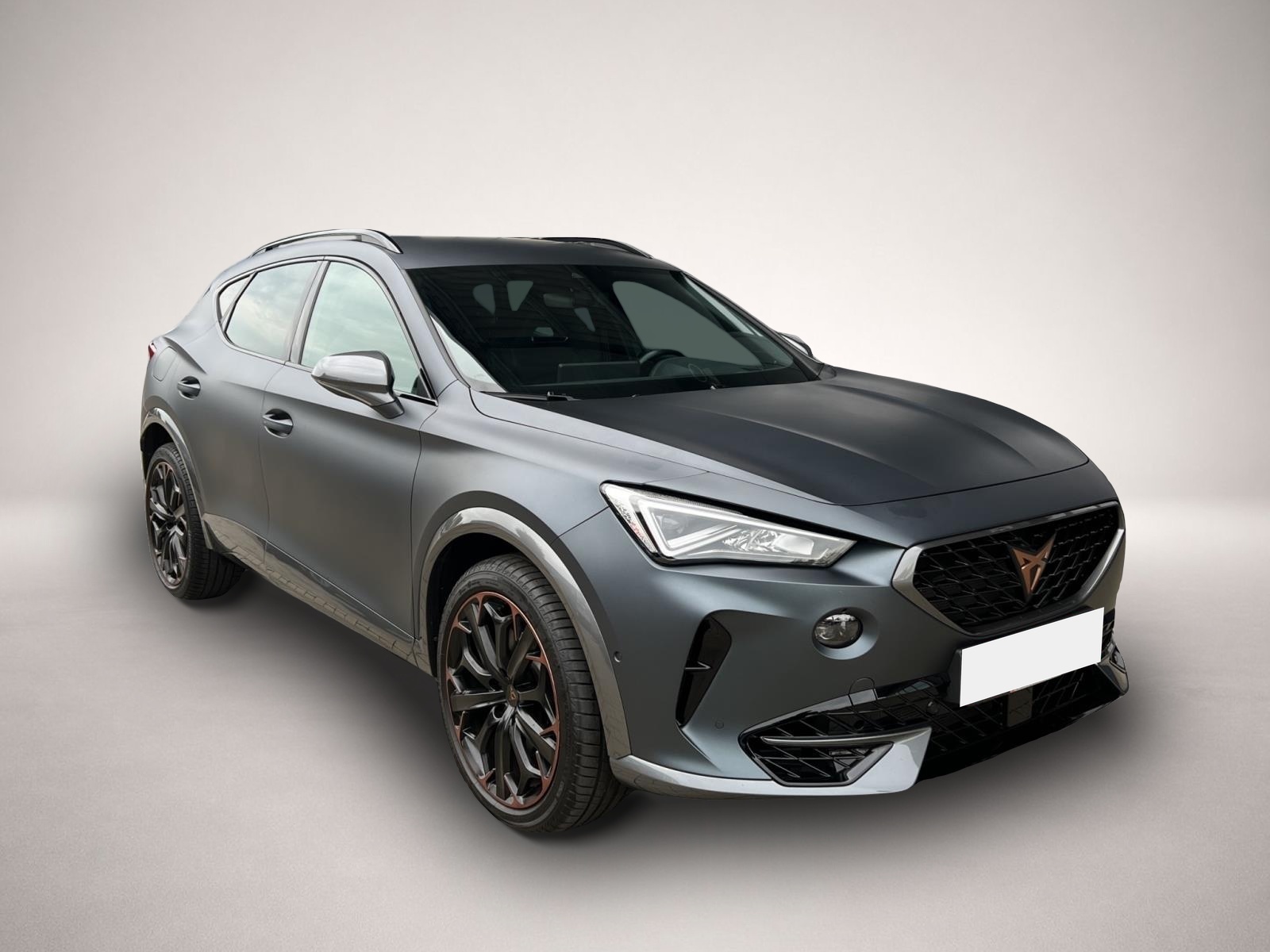 Bild 7 Cupra Formentor 2.0 TSI DSG VZ AHK BEATS NAVI REAR VIE