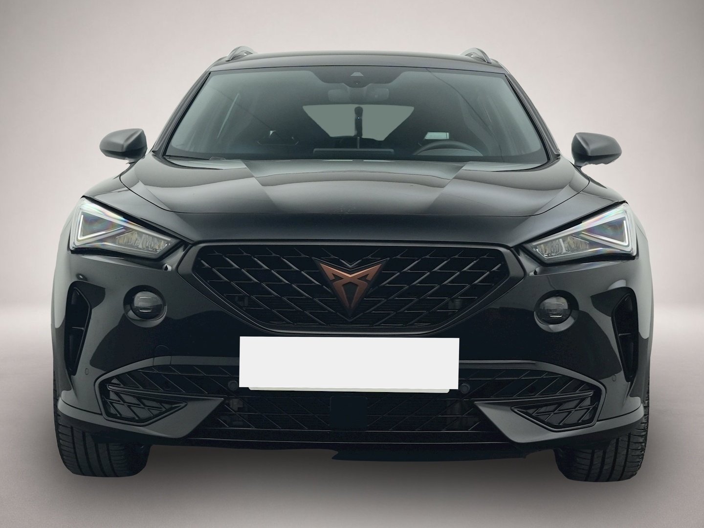 Bild 8 Cupra Formentor 1.4 TSI eHybrid DSG VZ Tribe Edition e