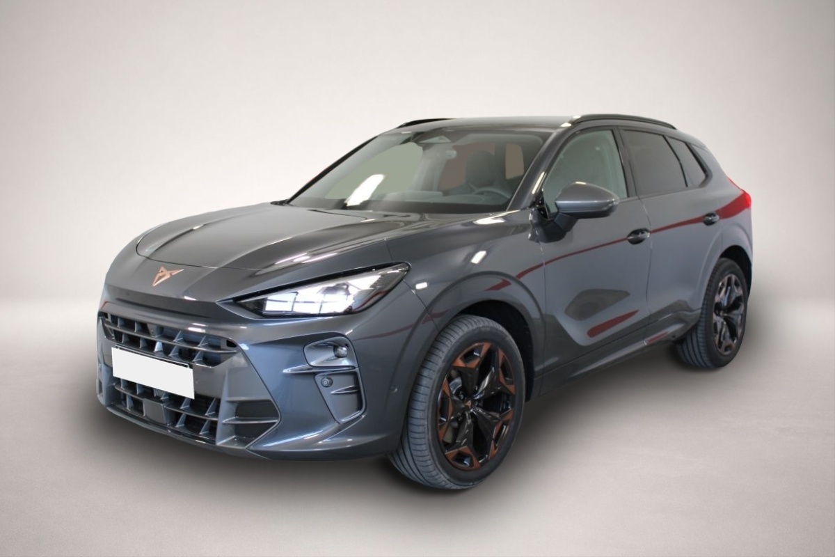 Fotografie Cupra Terramar 2.0 TSI 7-Gang DSG 4x4
