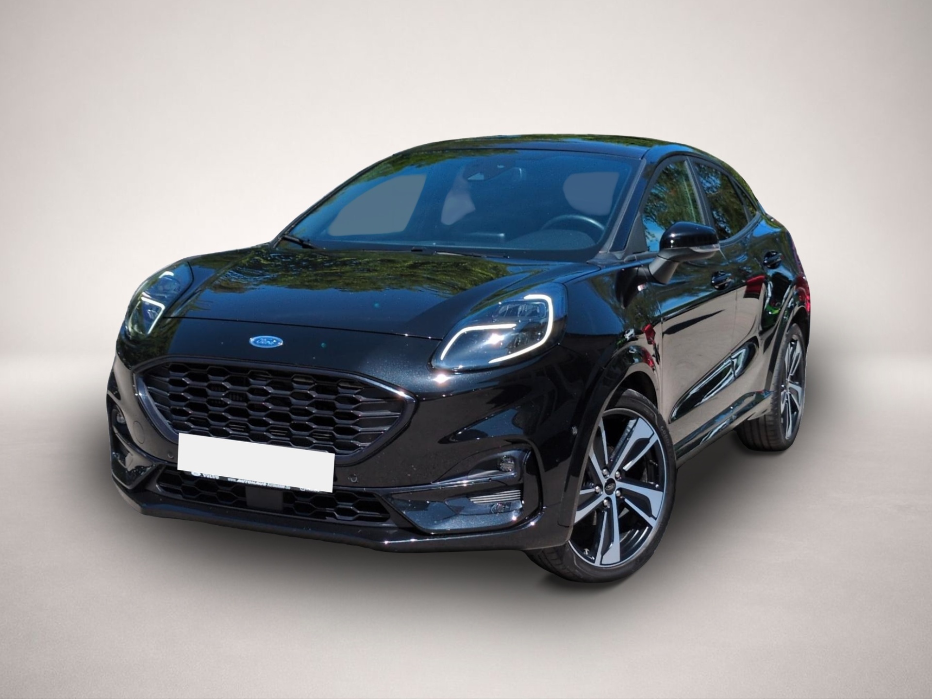 Bild Puma Ford