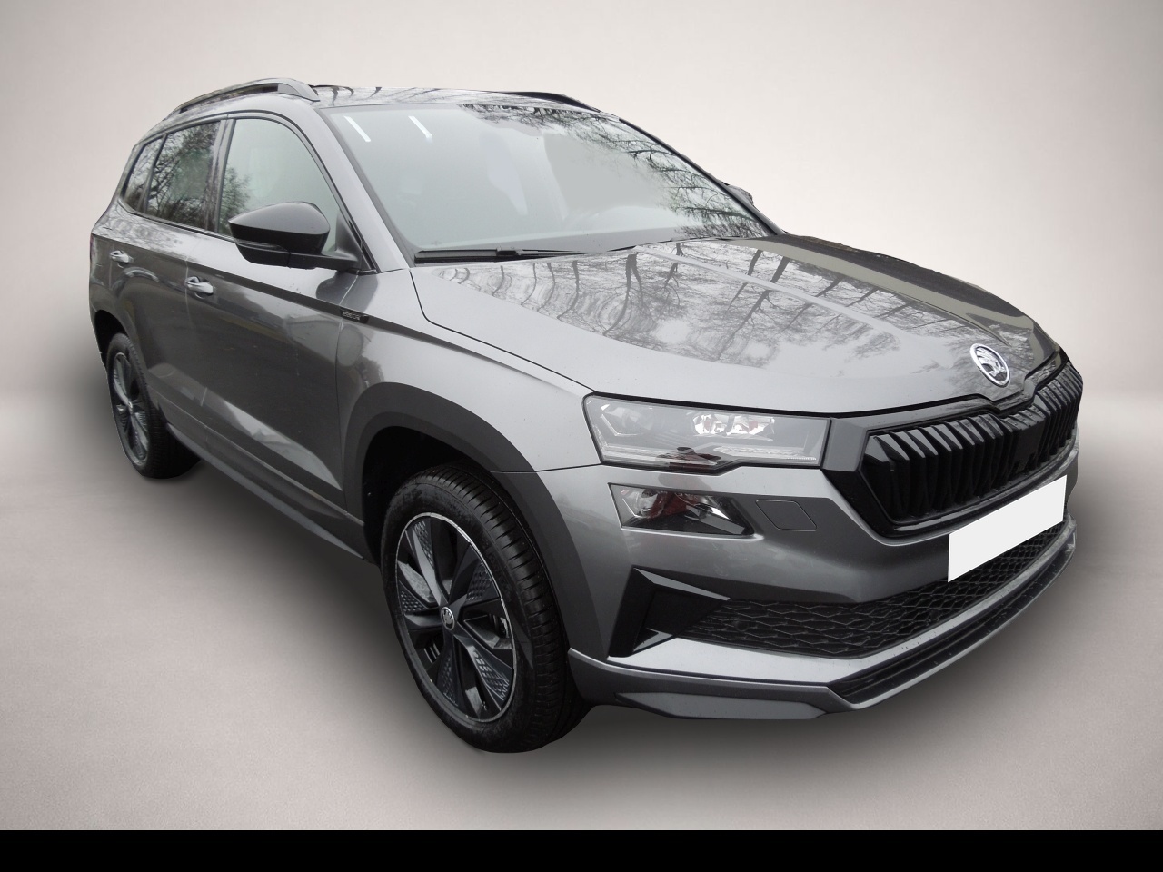 Karoq Skoda