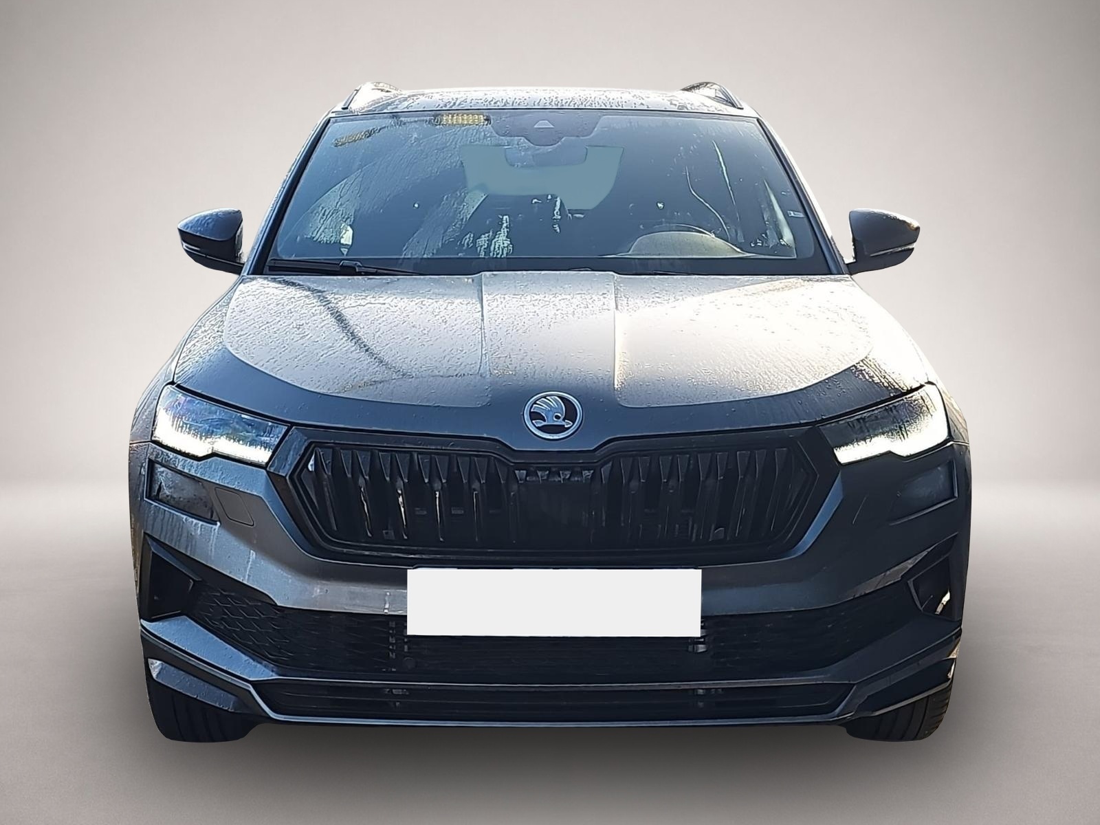 Bild 2 Skoda Karoq 1.5 TSI DSG Sportline / Kessy / Pano / ACC