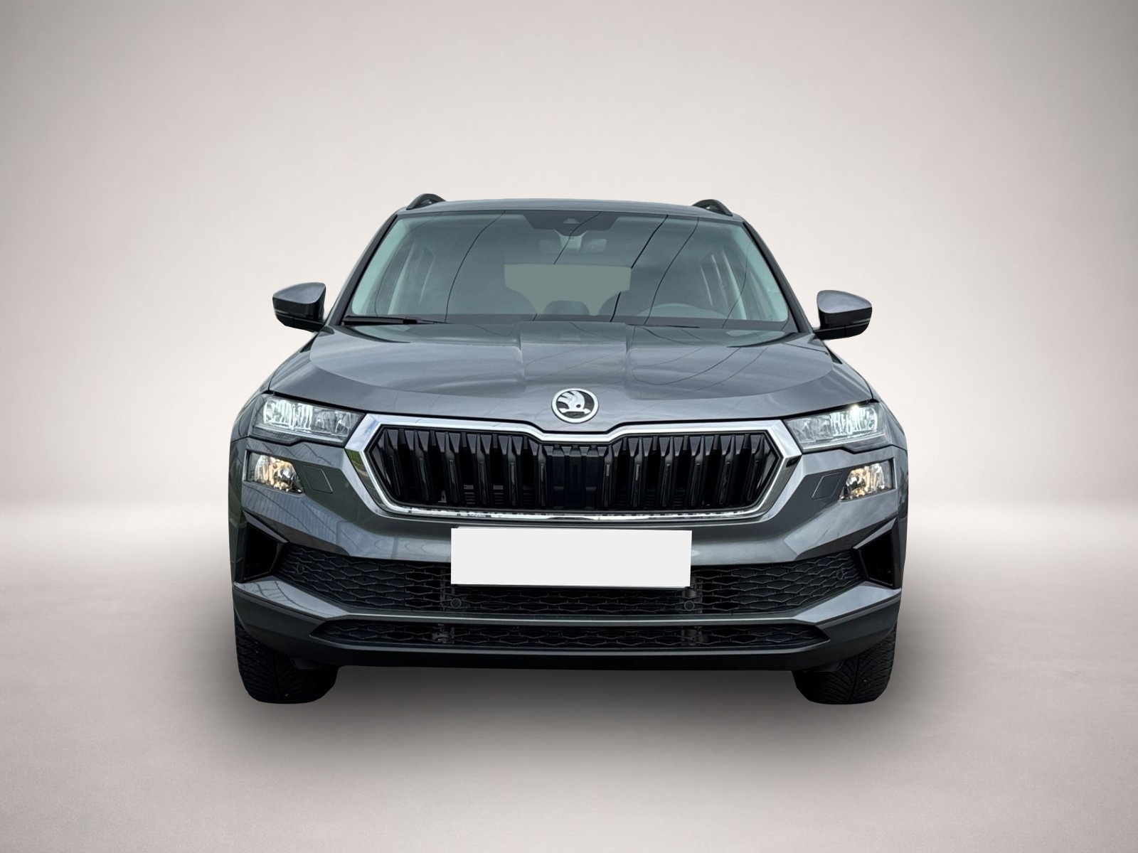 Bild 2 Skoda Karoq Selection TSI DSG|NAVI|KAMERA|VORB.AHK|SHZ