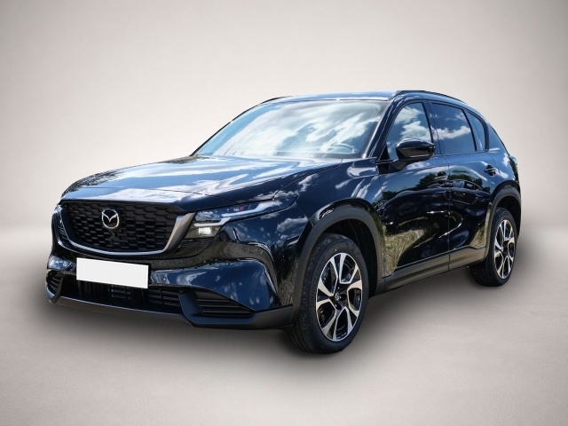 Bild 0