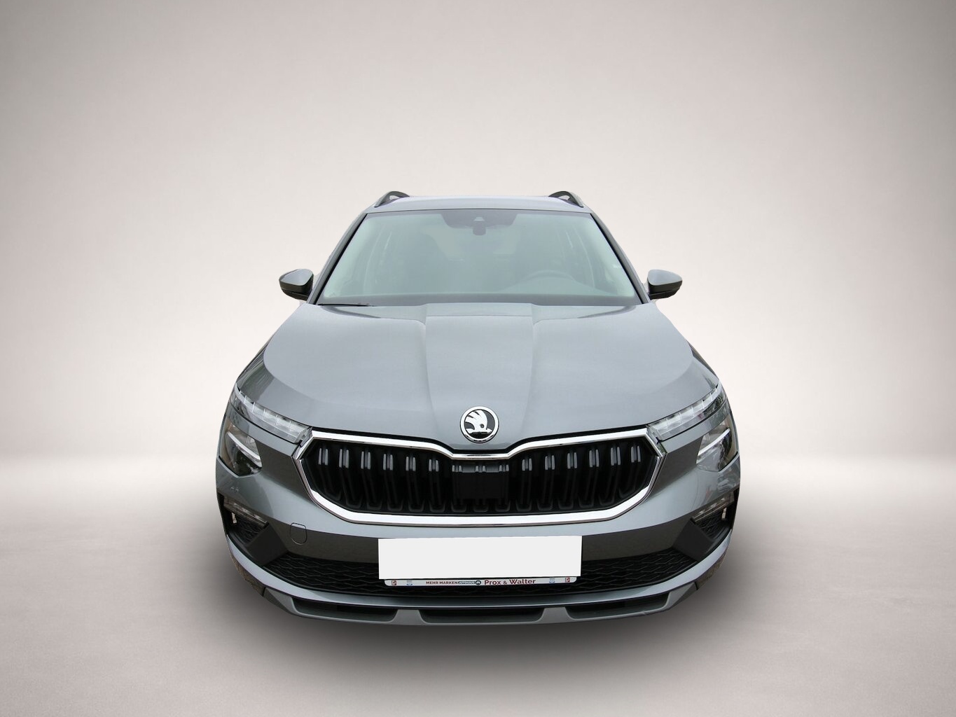 Bild Kamiq Skoda