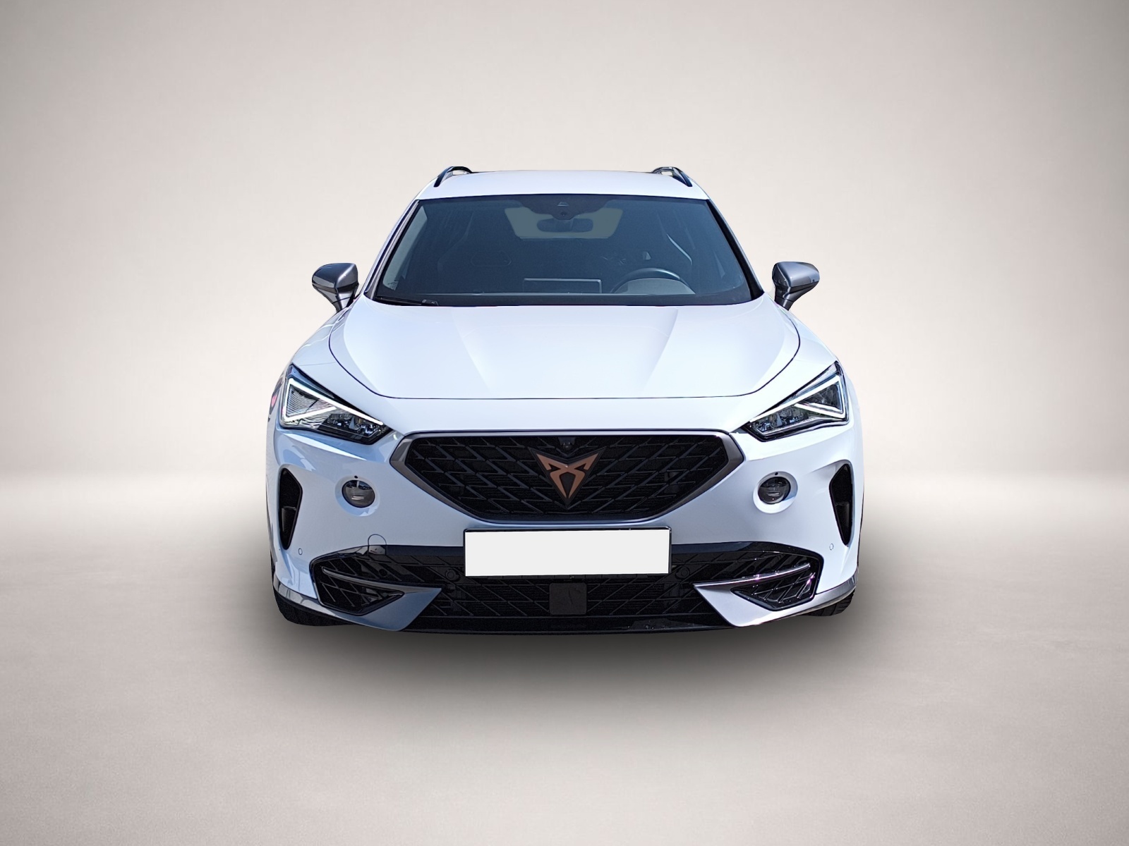 Bild 2 Cupra Formentor 2.0 TSI DSG 4Drive VZ LED NAVI AHK ACC