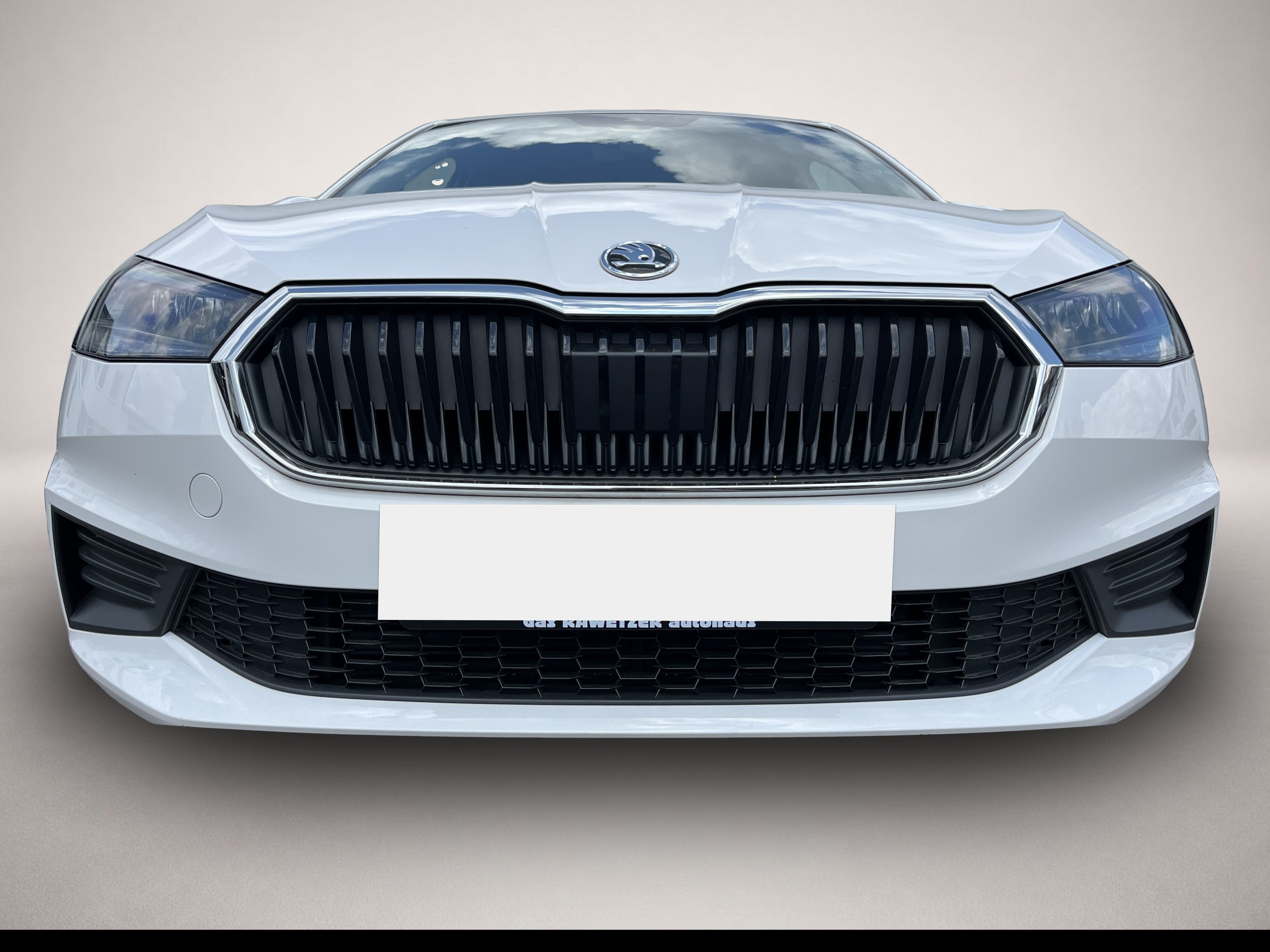 Bild 3 Skoda Fabia 1.0 TSI Ambition 87¤ m.20% Anz. Navi LED P