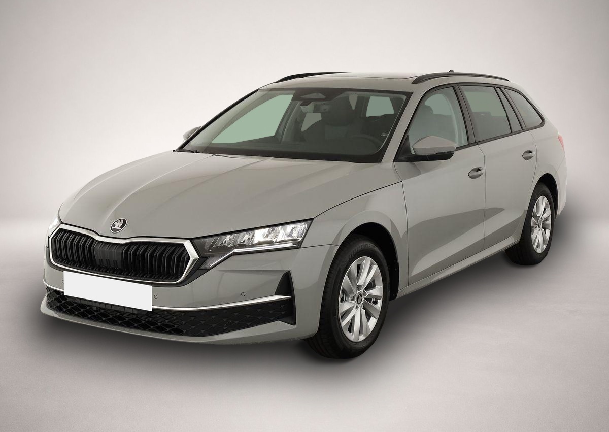 Bild Octavia Skoda