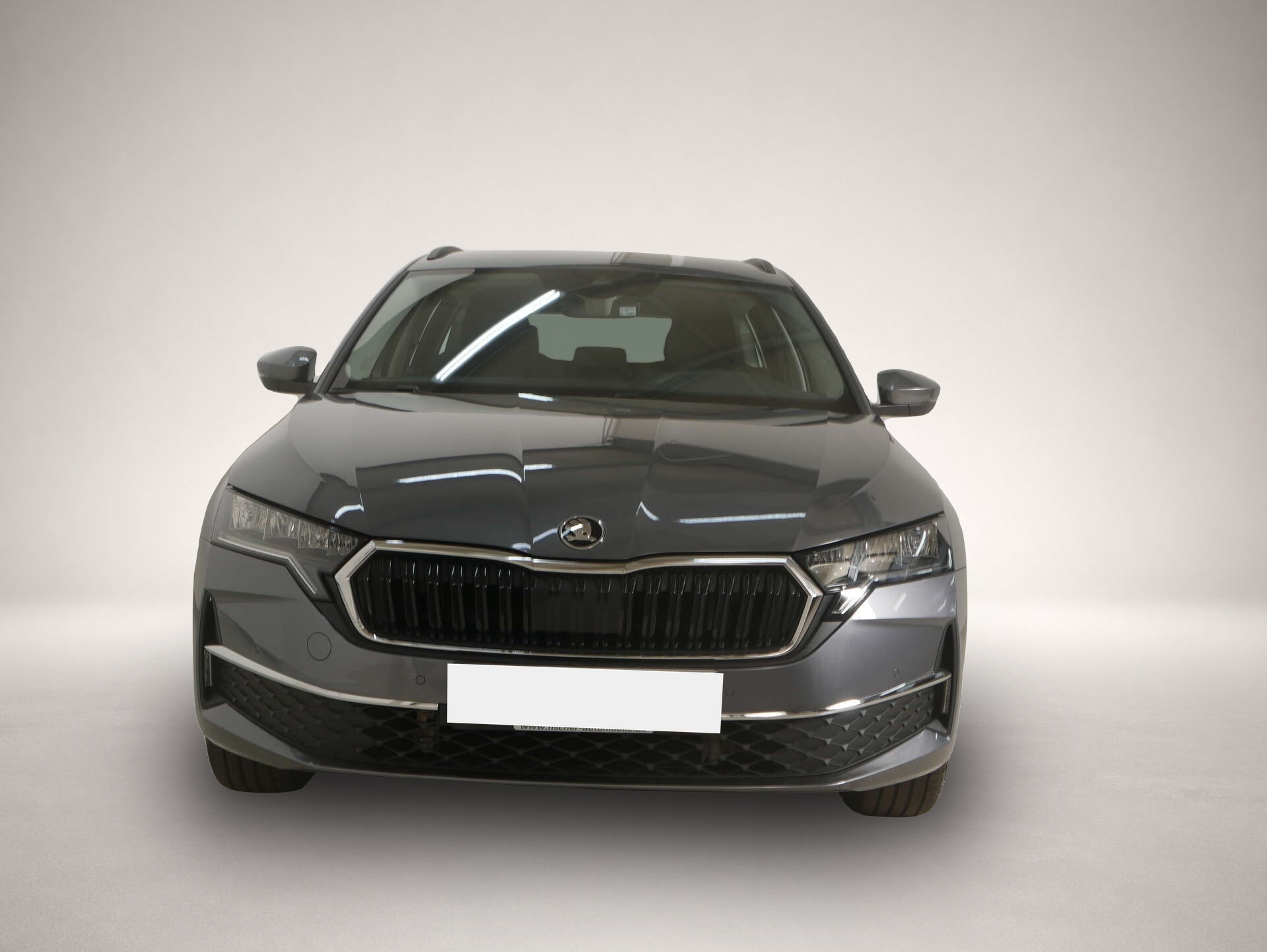 Bild 2 Skoda Octavia Combi 2.0 TDI Selection