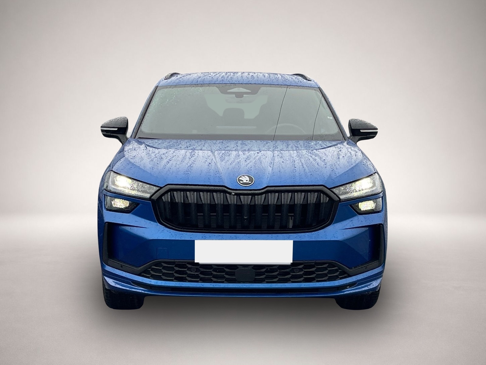 Bild Kodiaq Skoda