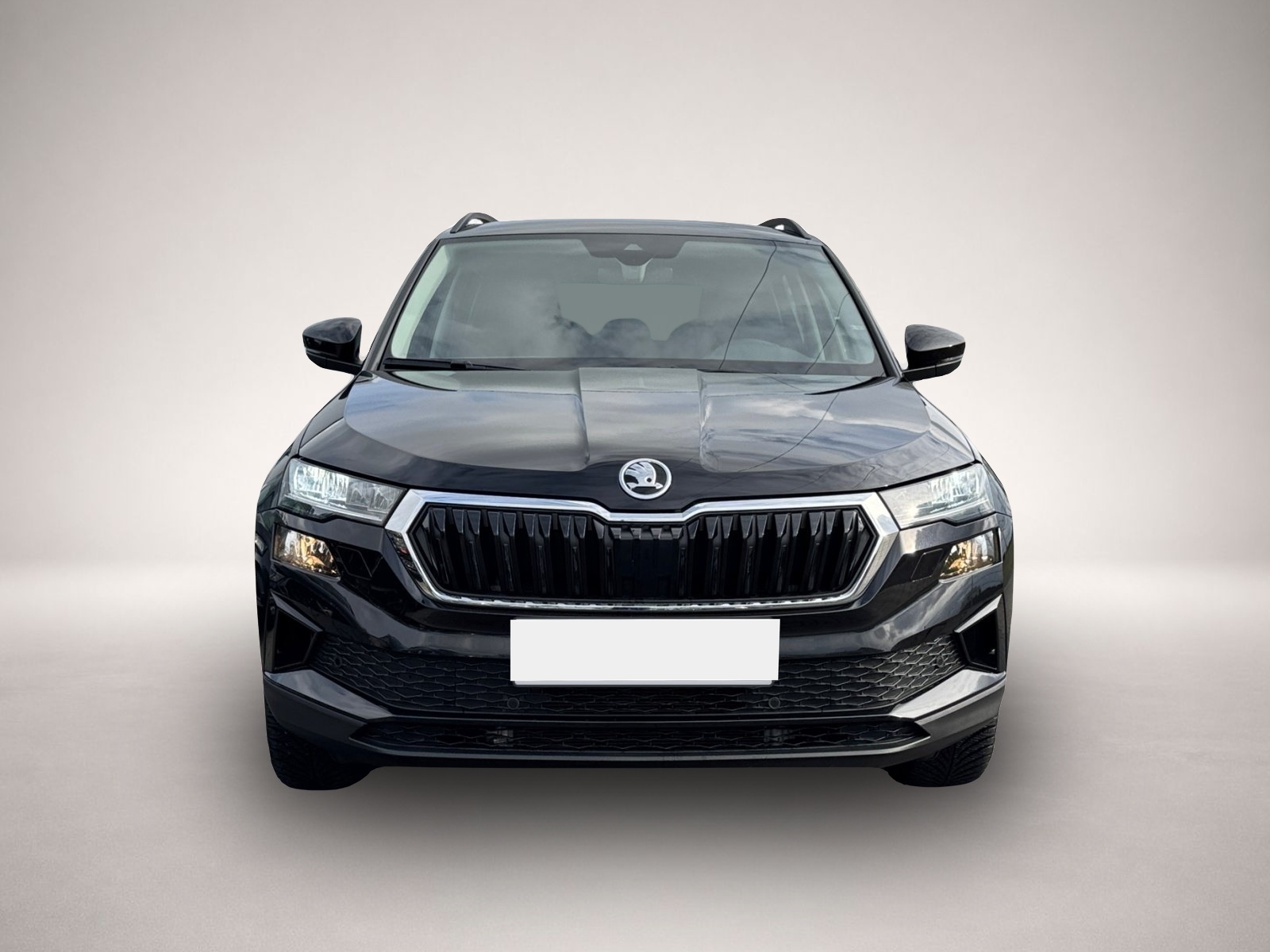 Fotografie Skoda Karoq Selection TDI DSG|TOTWINKEL|NAV|KAMERA|ACC