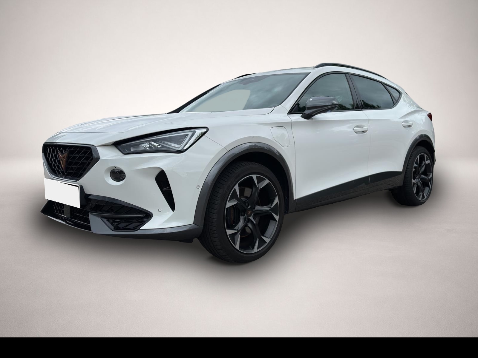 Fotografie 1 des Cupra Formentor 1.4 eHybrid DSG VZ KAMERA AHK LED ACC