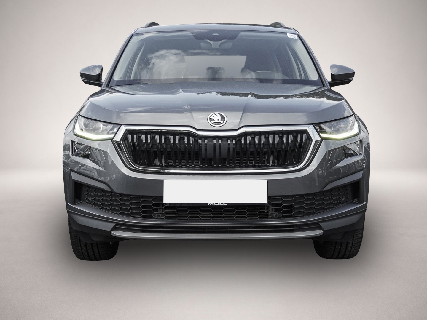 Bild 2 Skoda Kodiaq 2.0 TDI DSG Ambition Tour AHK NAVI LED AL