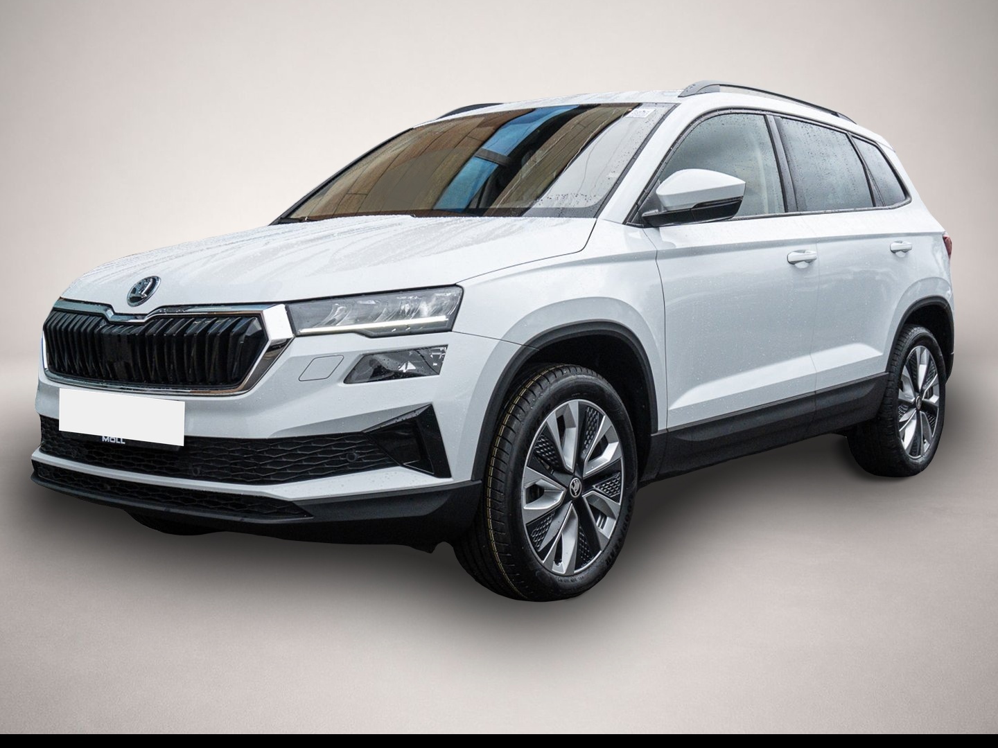 Bild Karoq Skoda