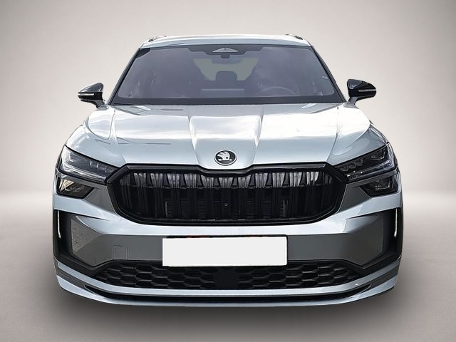 Bild Kodiaq Skoda