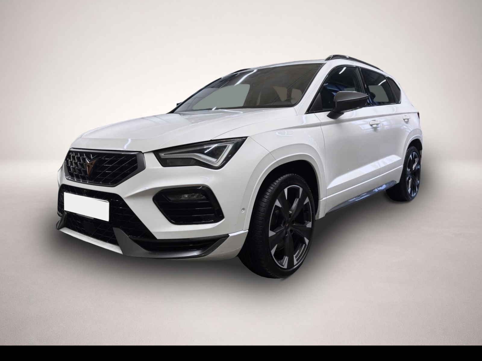 Fotografie Cupra Ateca 2.0 TSI DSG 4Dr AB 295EUR VZ NAVI 360 EL S