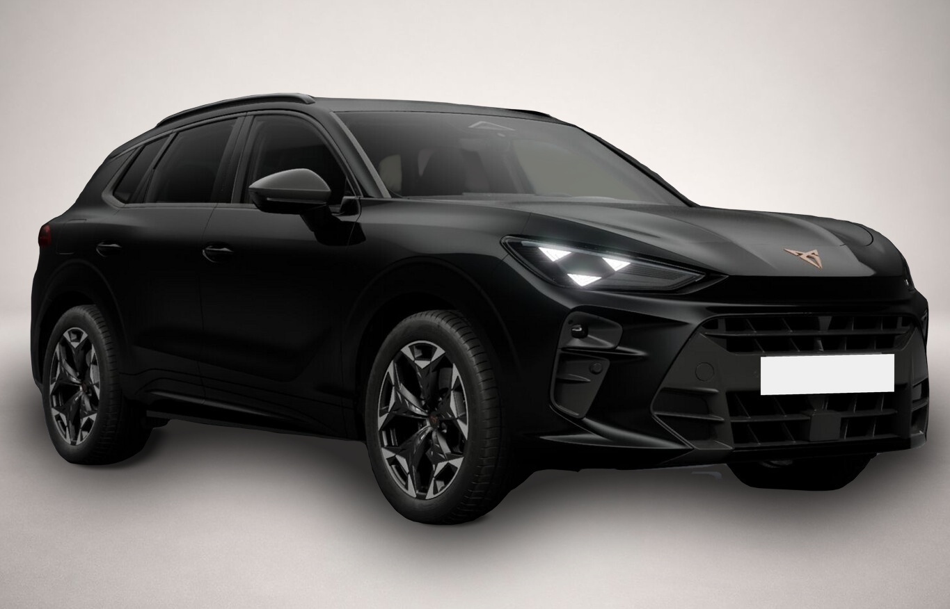 Fotografie 2 des Cupra Terramar VZ 4D AHK eHk Kam SHZ ACC 3ZClim 19