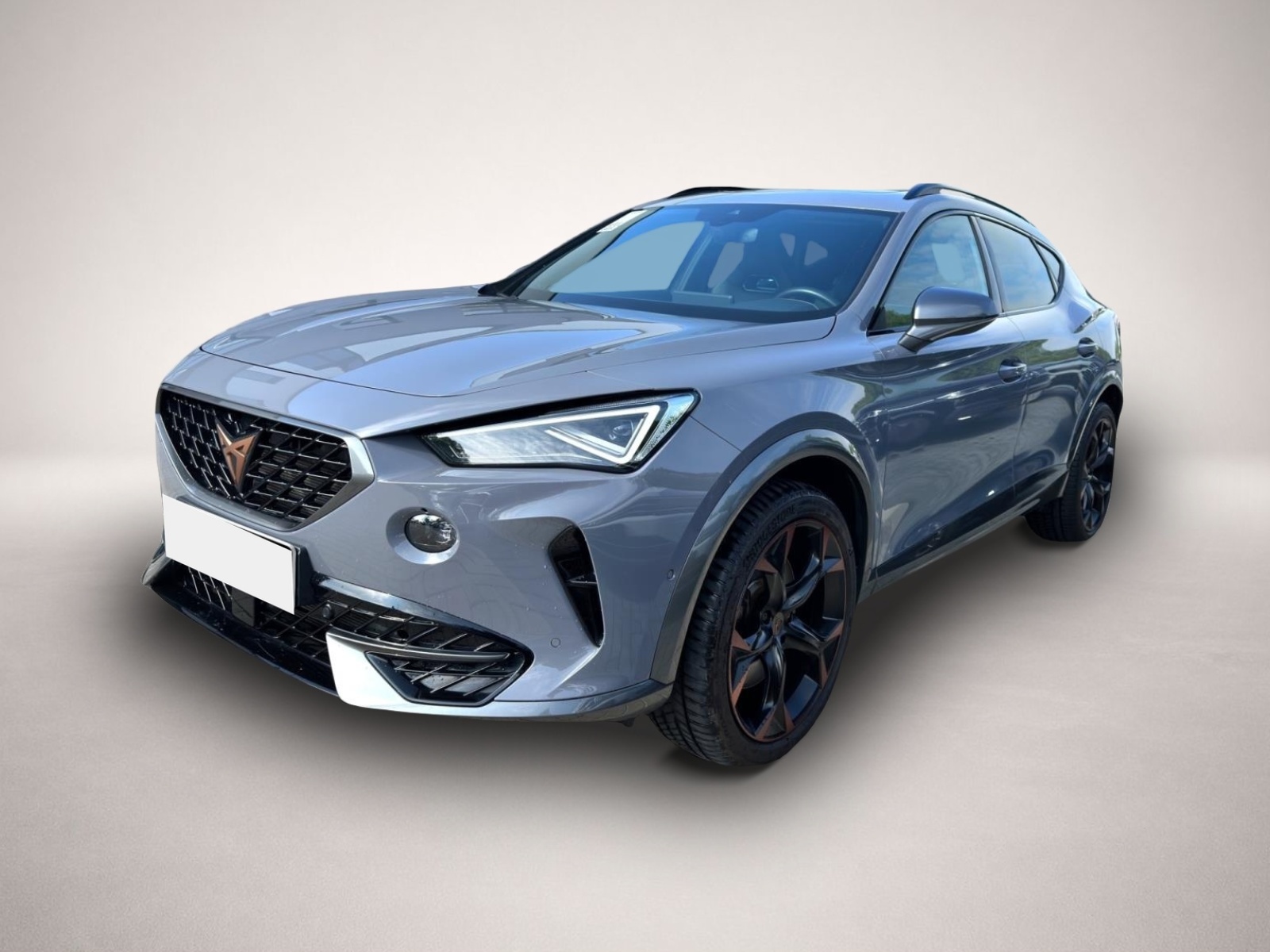 Bild 1 Cupra Formentor 2.0 TSI DSG 4Dr AB281EUR VZ PANO BEATS