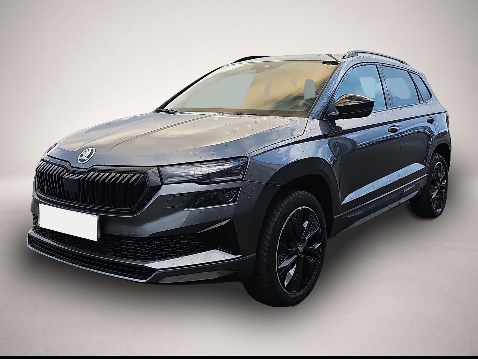 Bild 3 Skoda Karoq 1.5 TSI DSG Sportline Matrix 5J.Gar. AHK